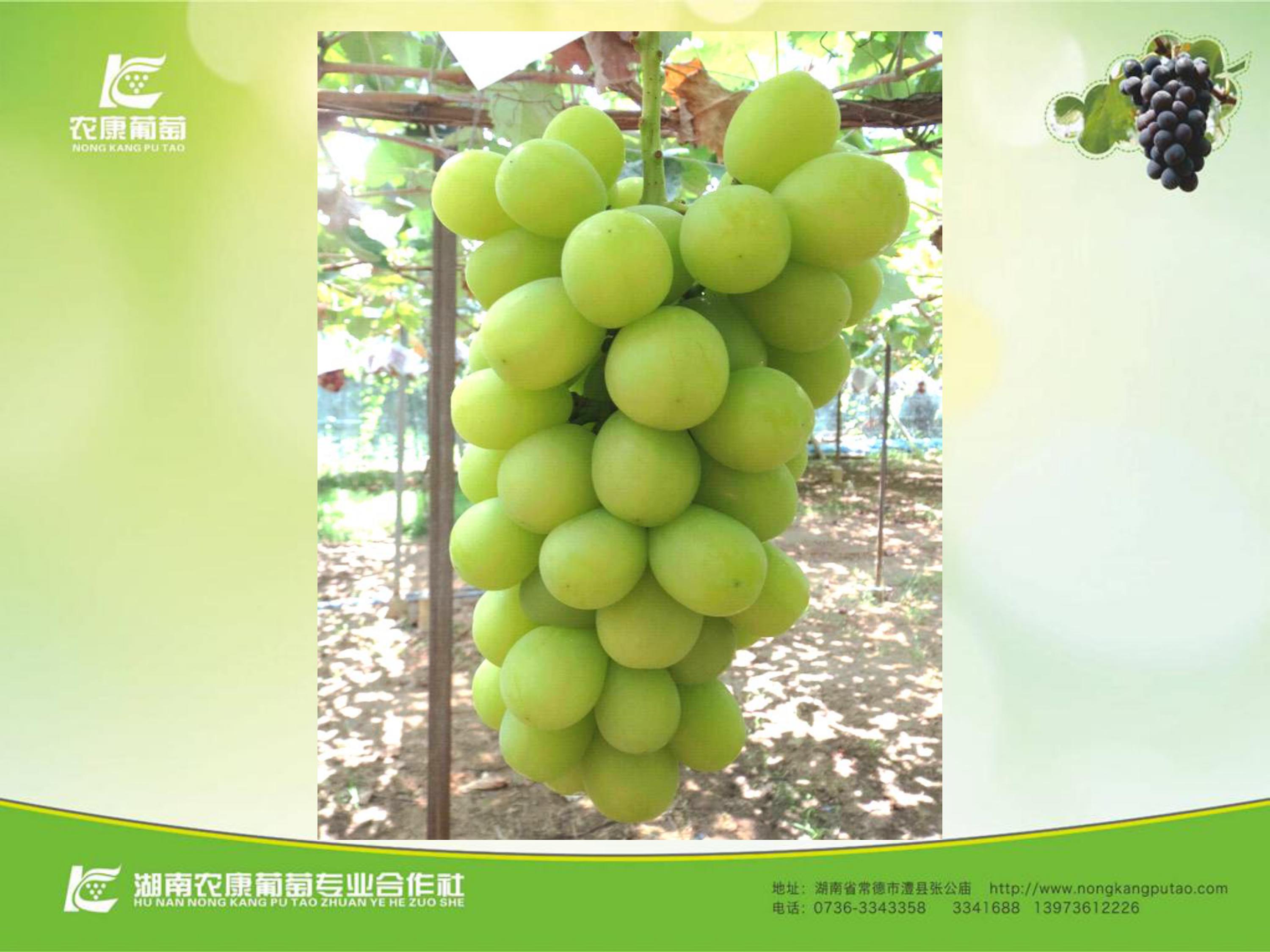 image-0069