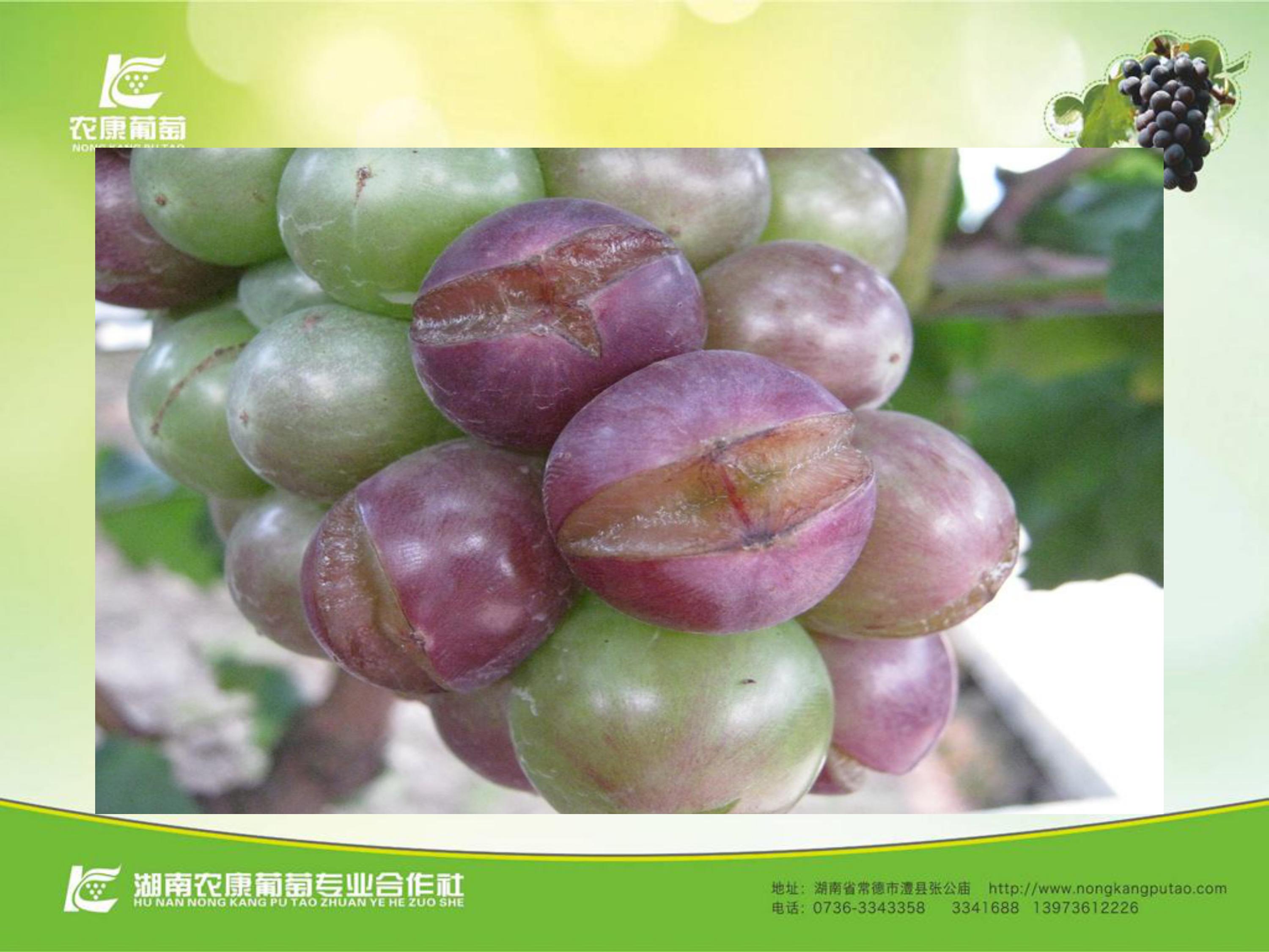 image-0072