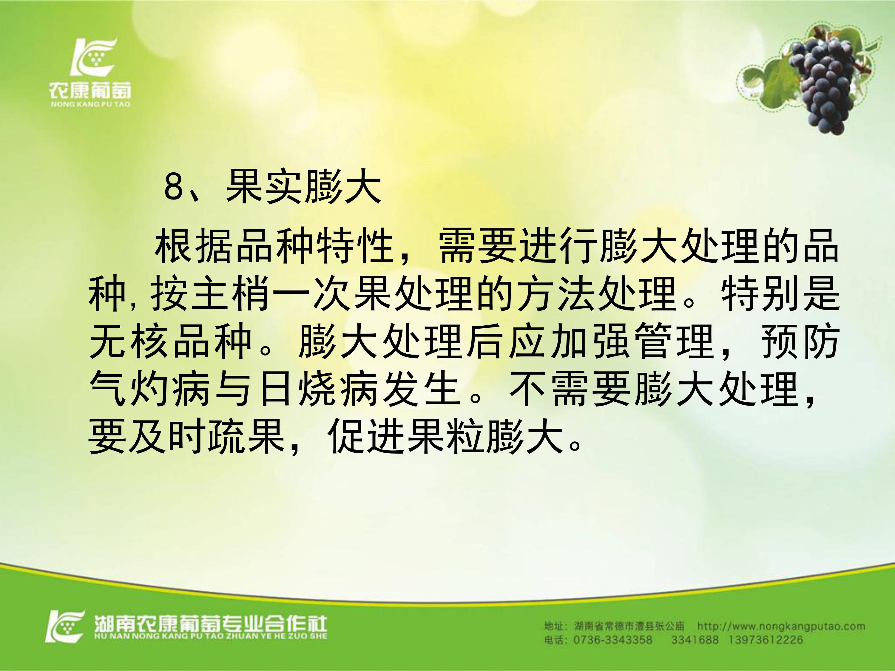 image-0073