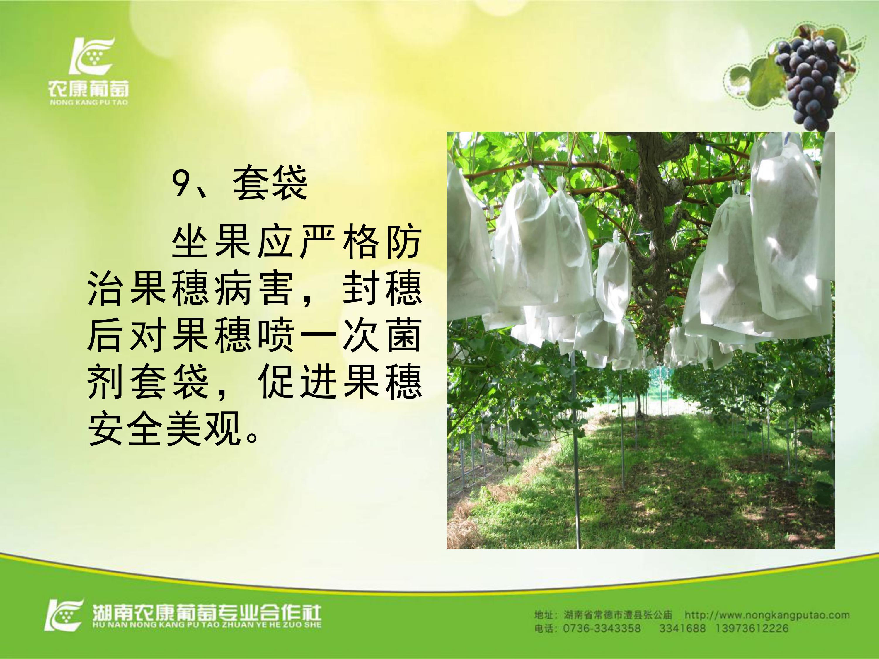 image-0078