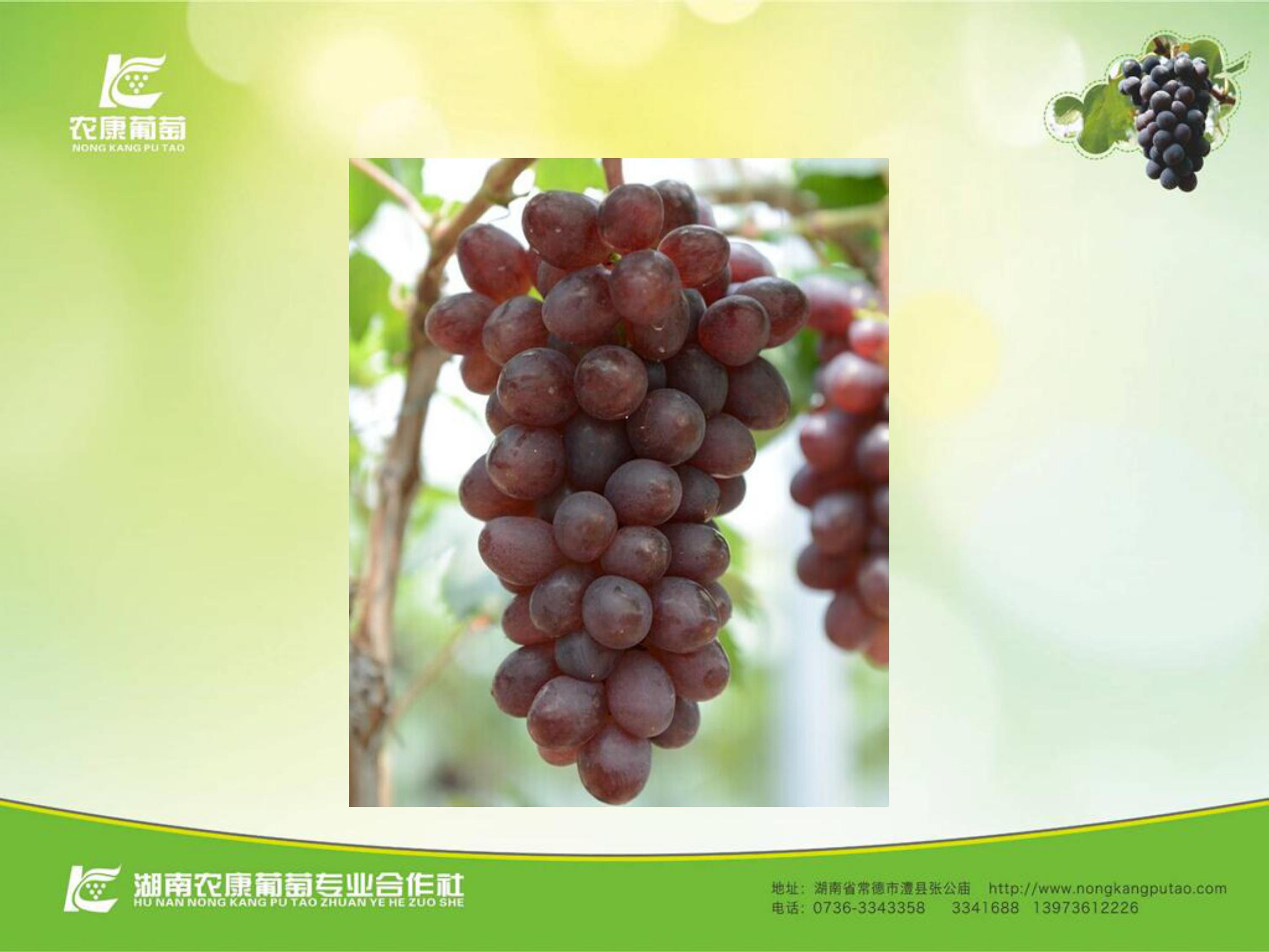 image-0081