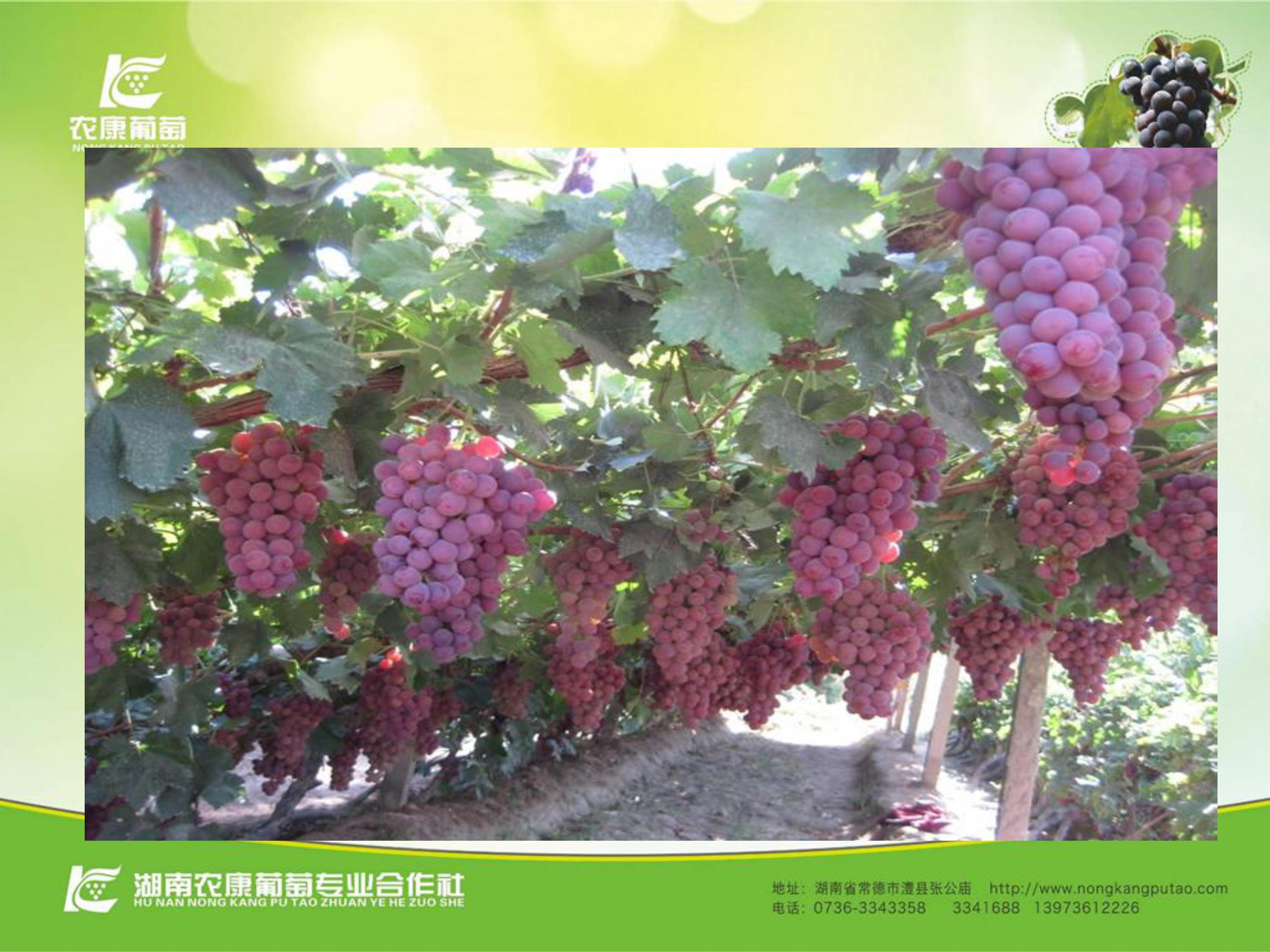 image-0083