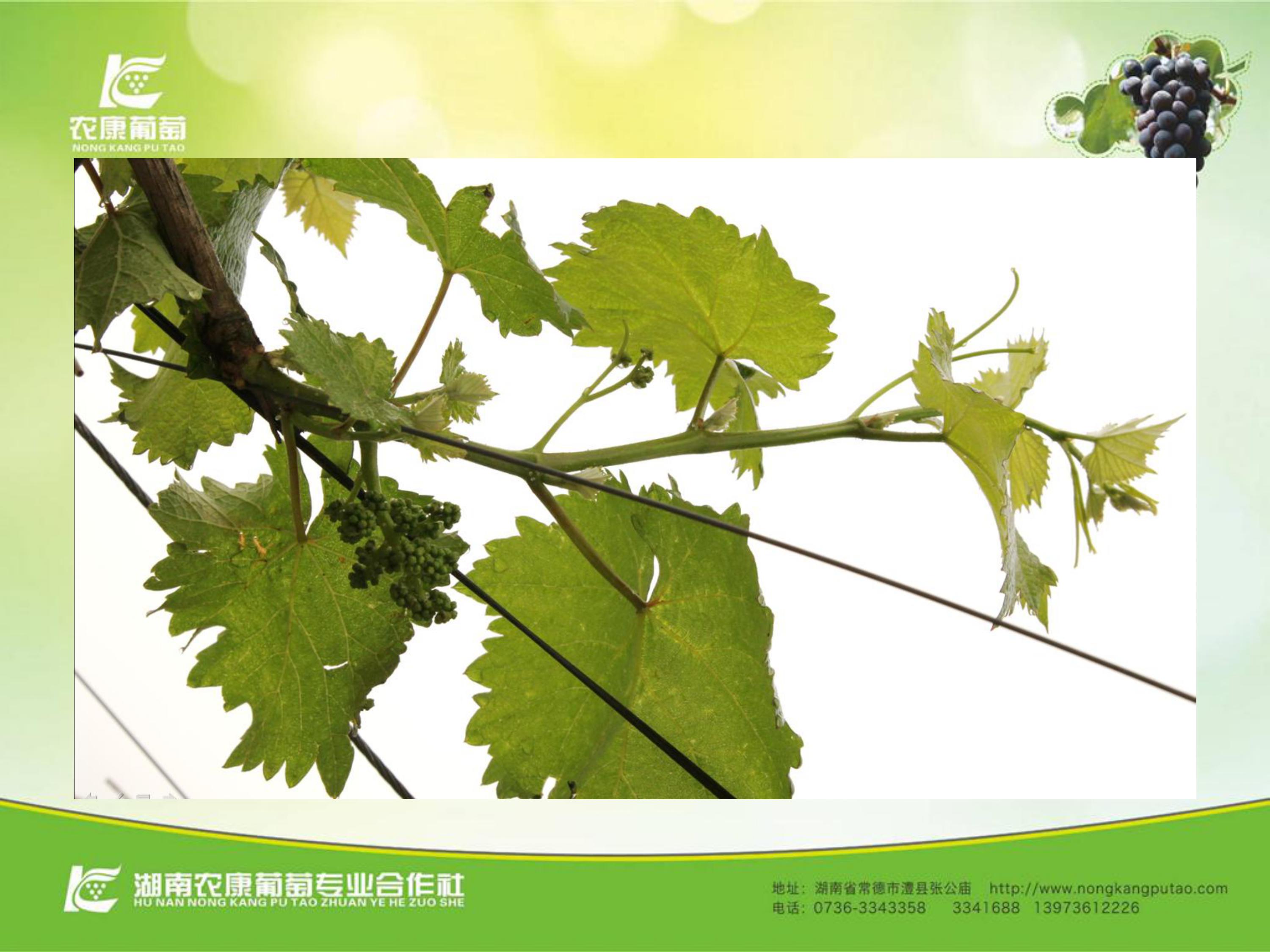 image-0087
