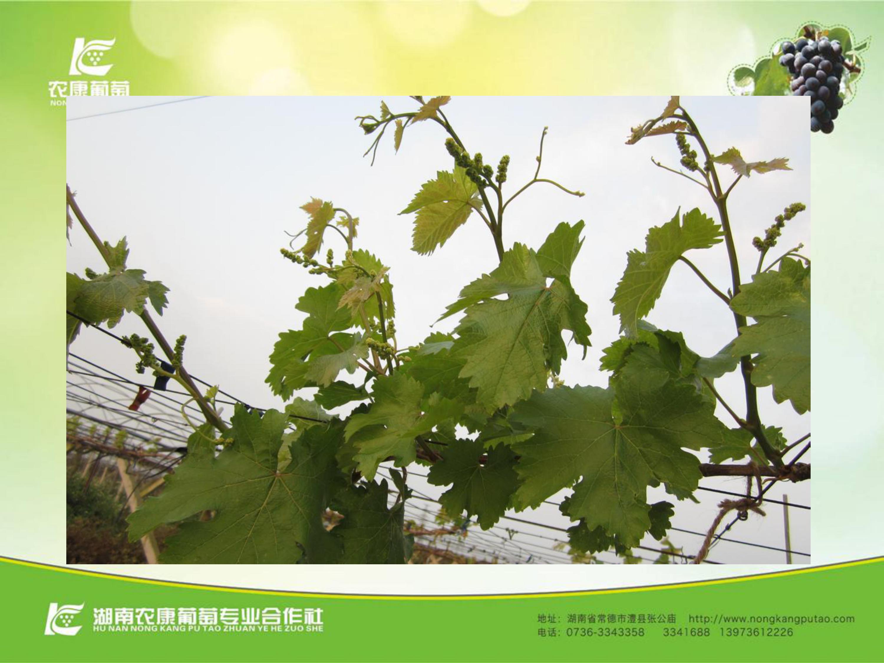 image-0088