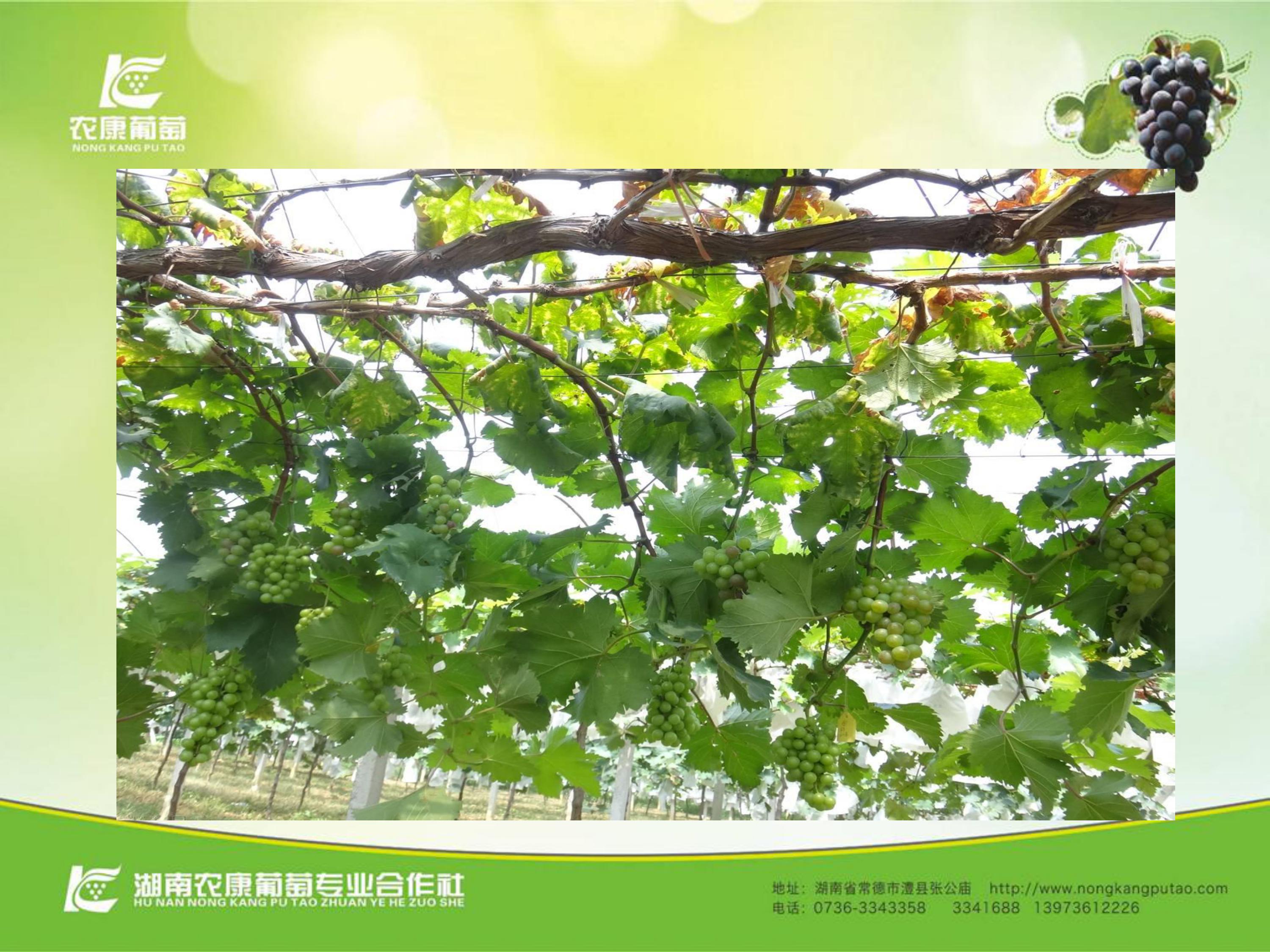 image-0089