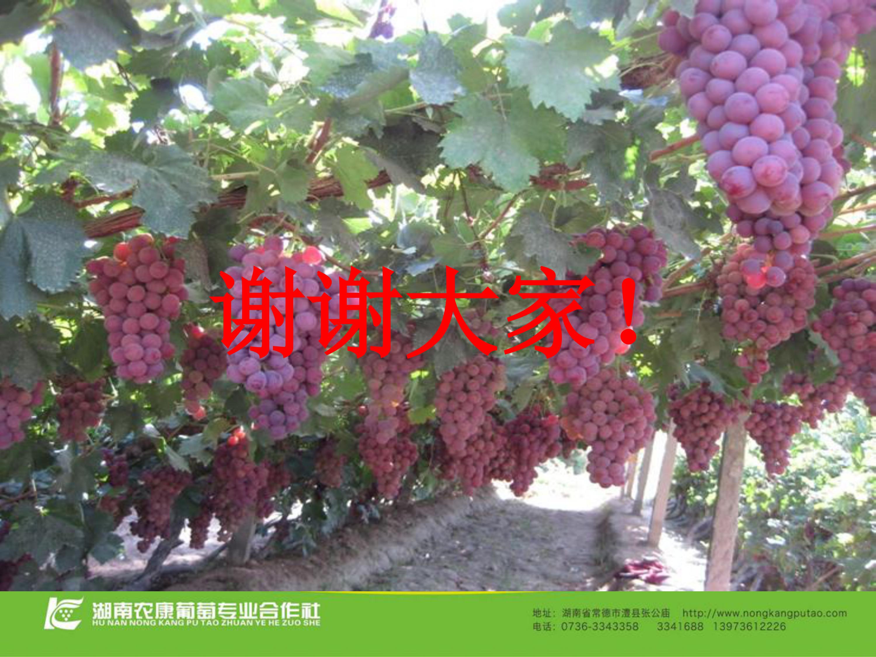 image-0091