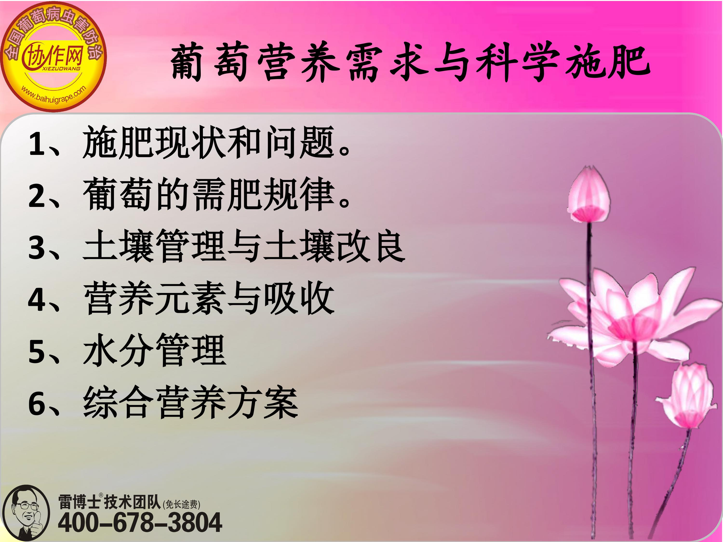 image-0002