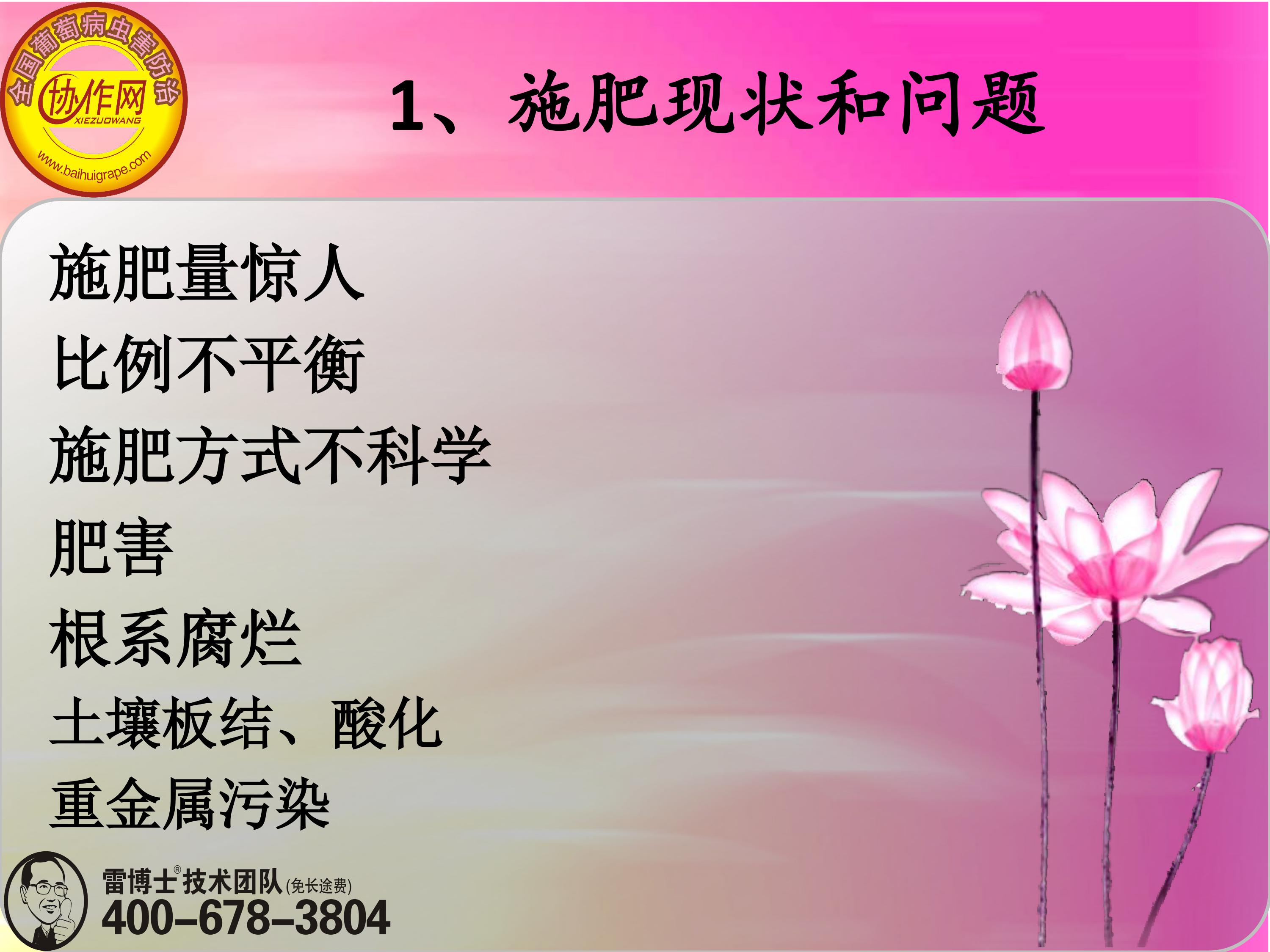 image-0003