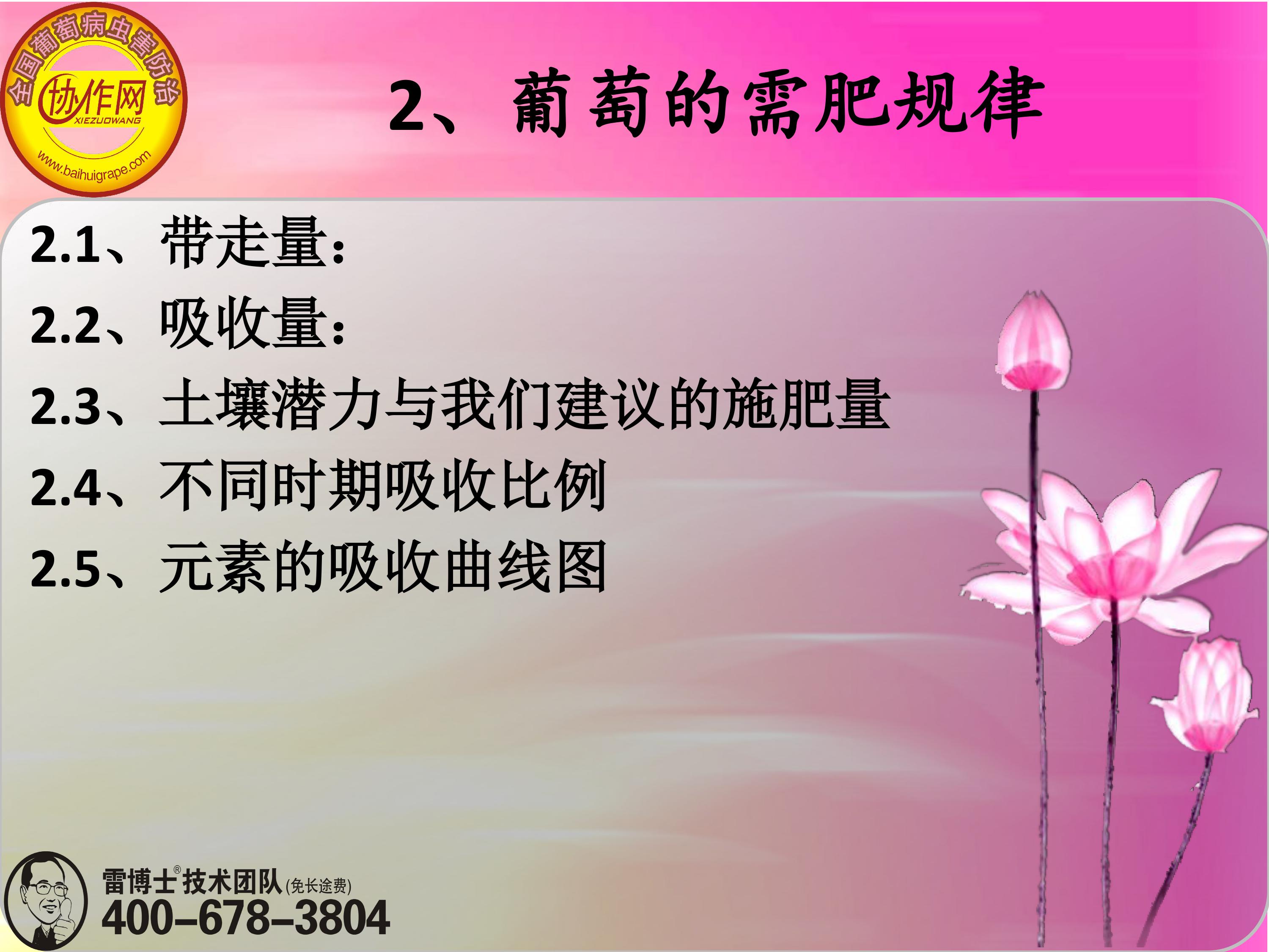image-0027
