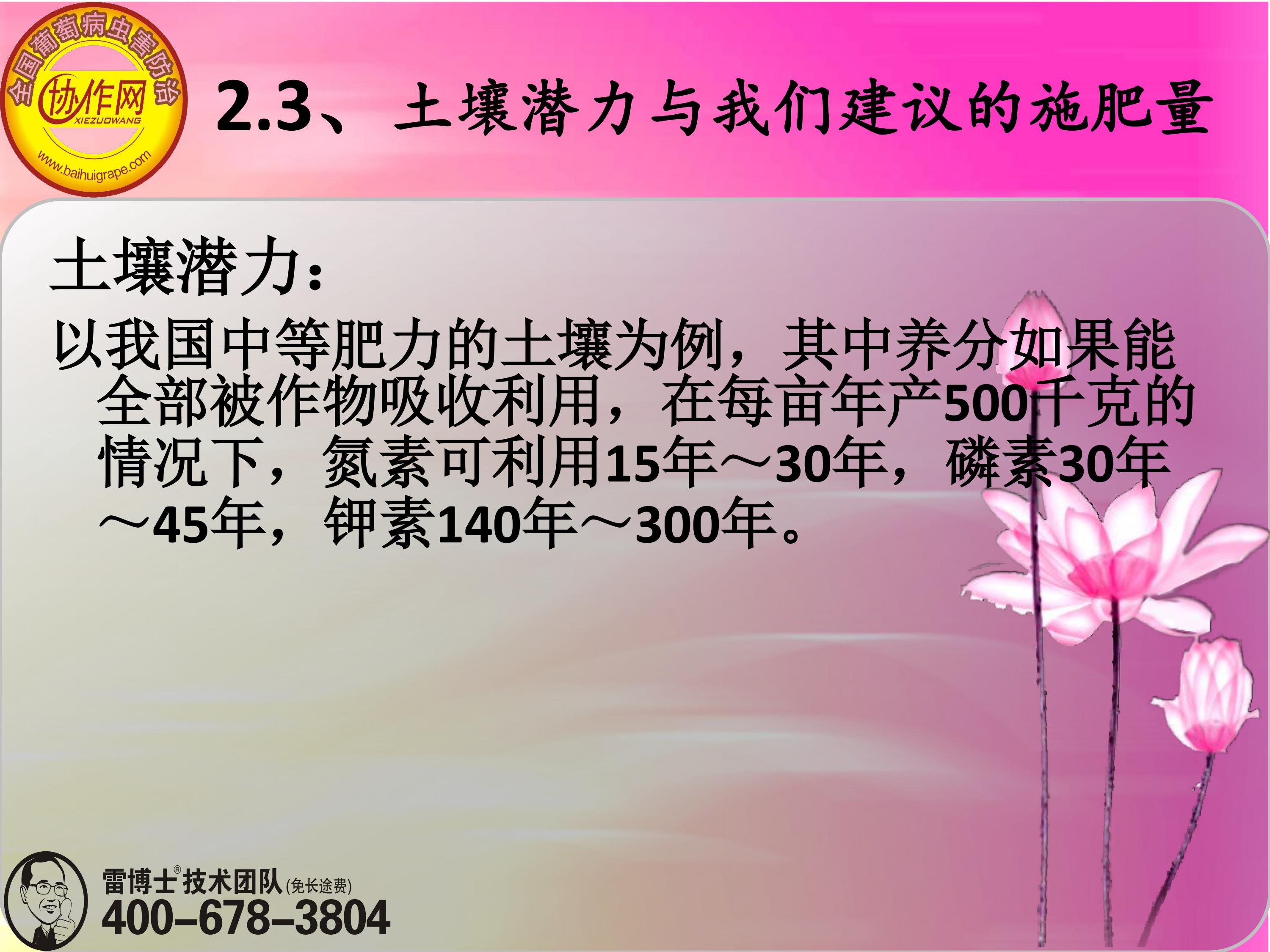 image-0031