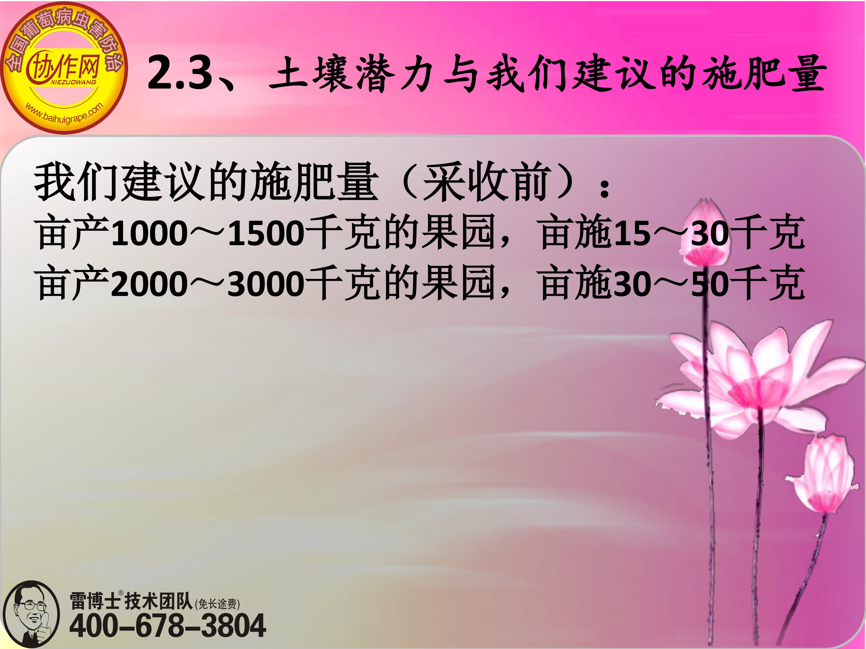 image-0033