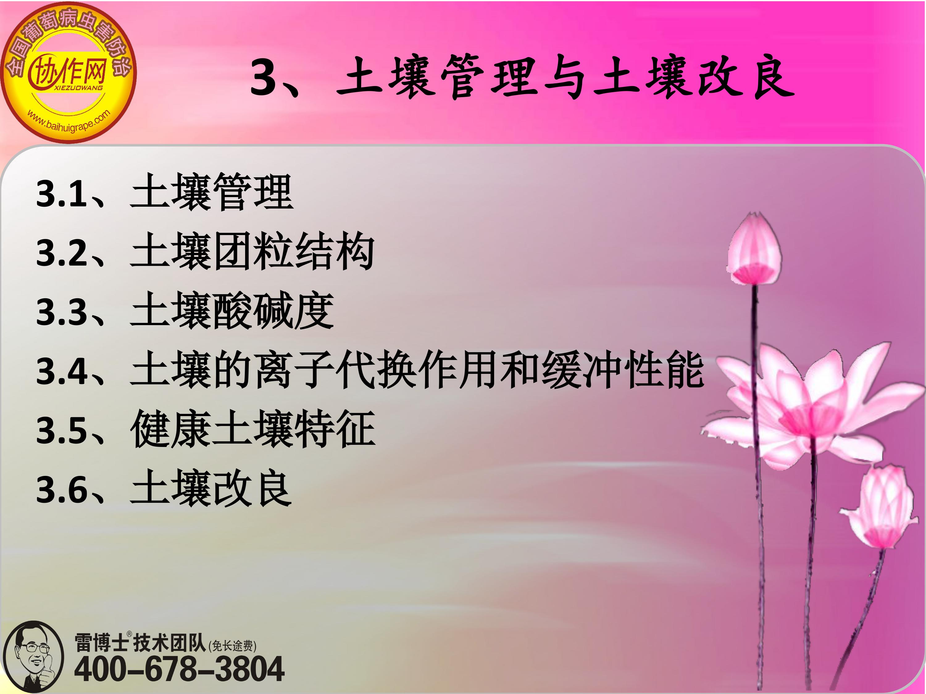 image-0043