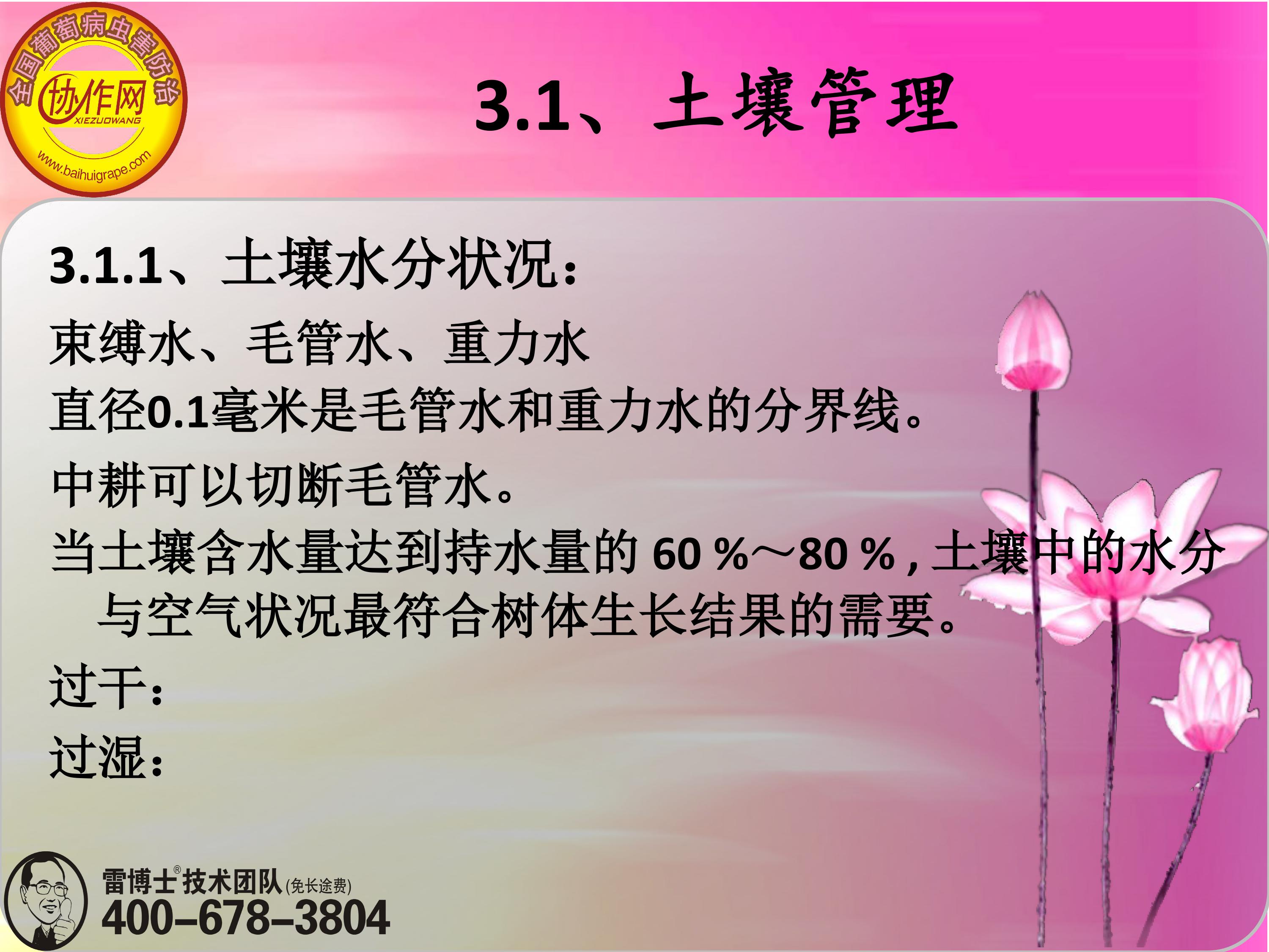 image-0045