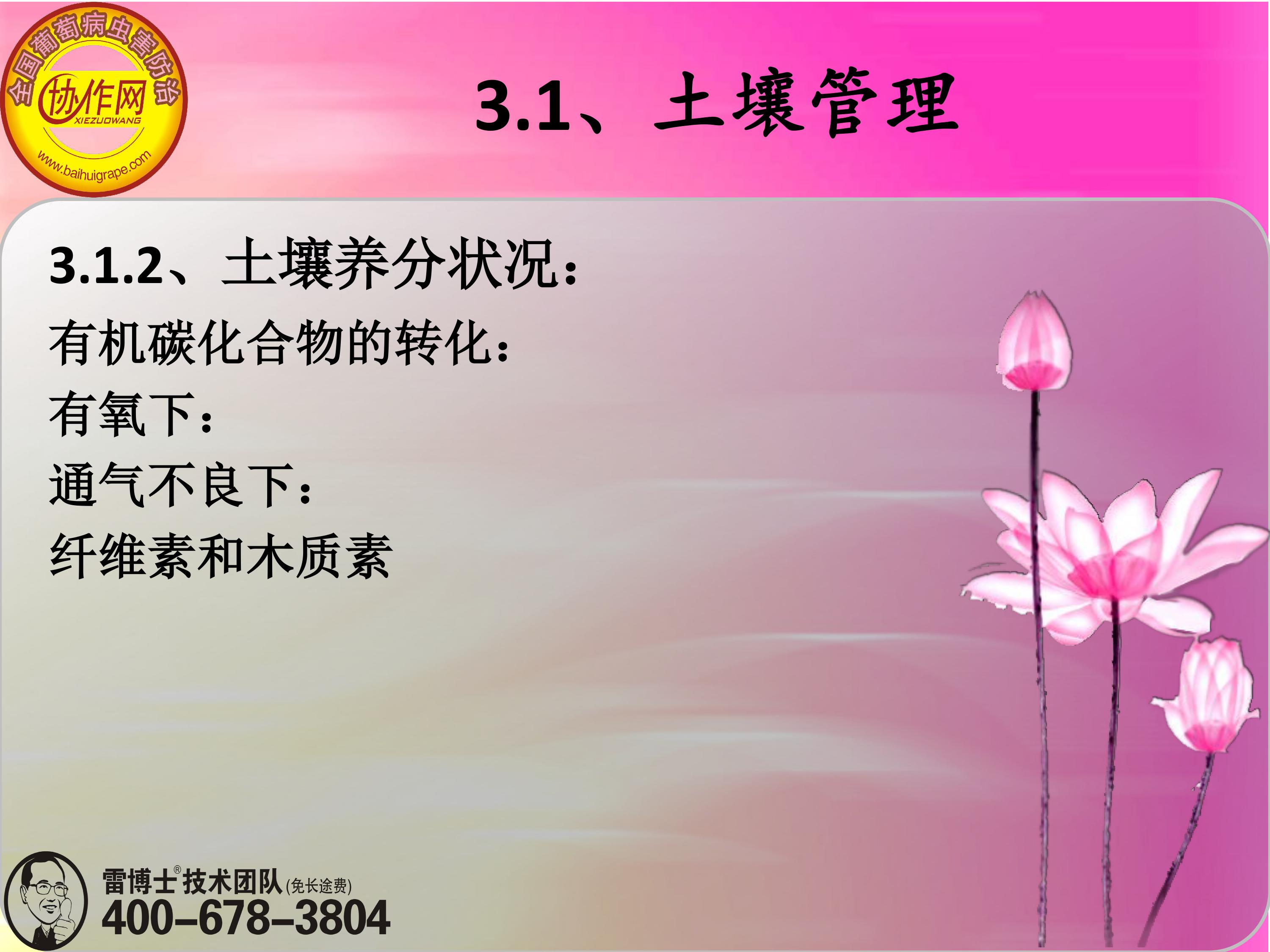 image-0046