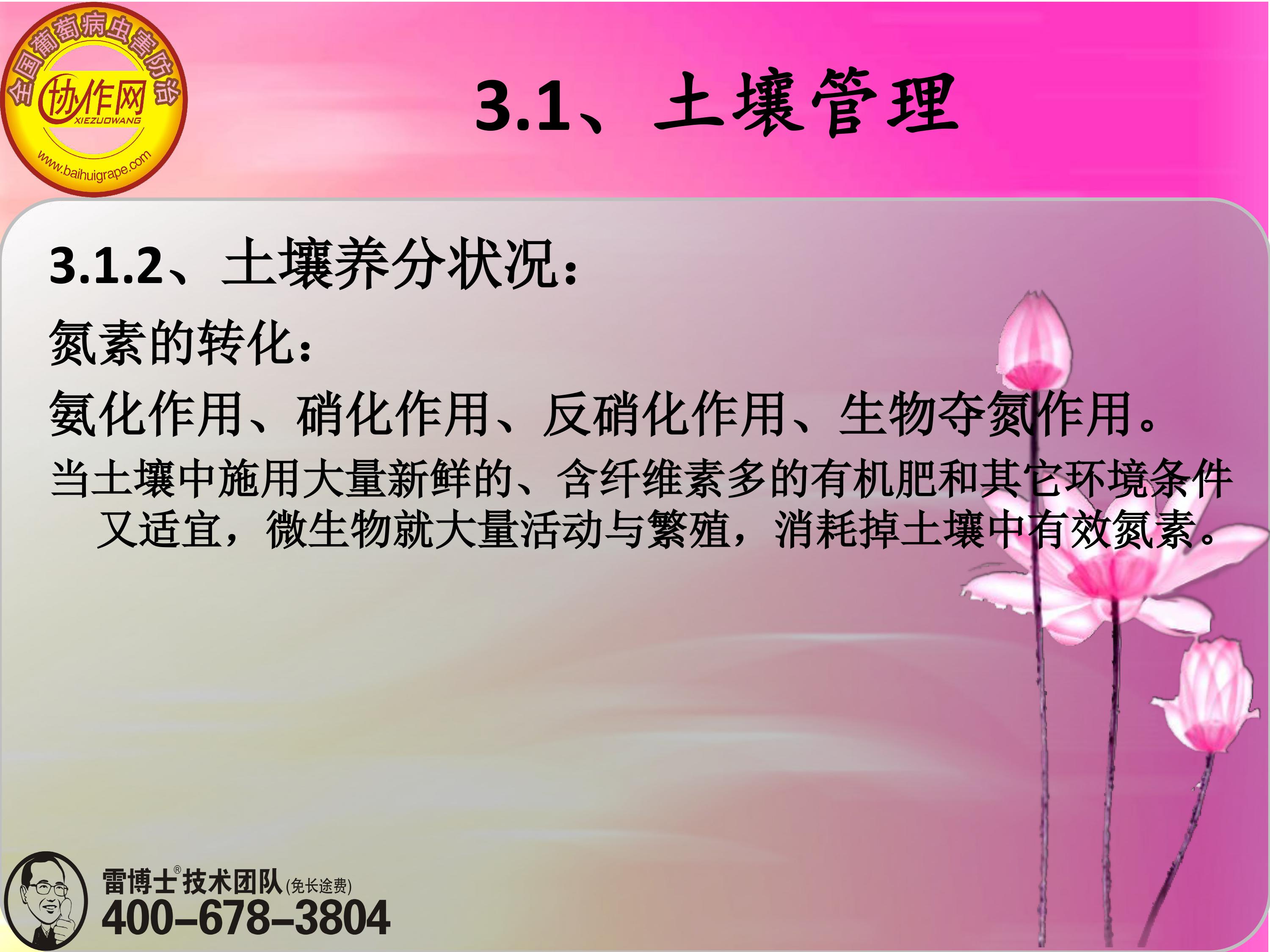 image-0047