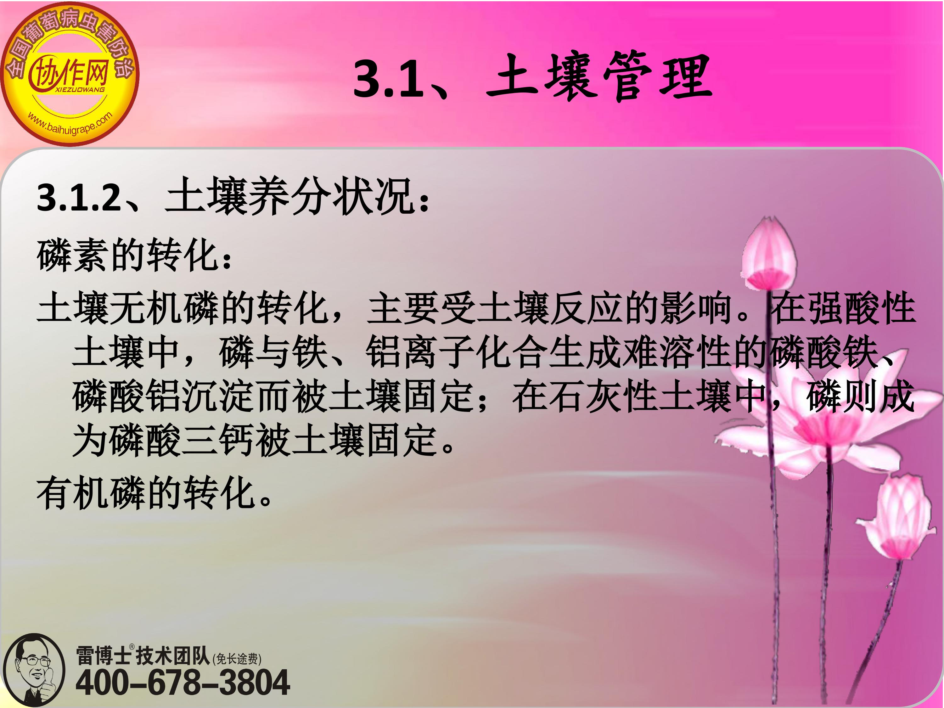 image-0048