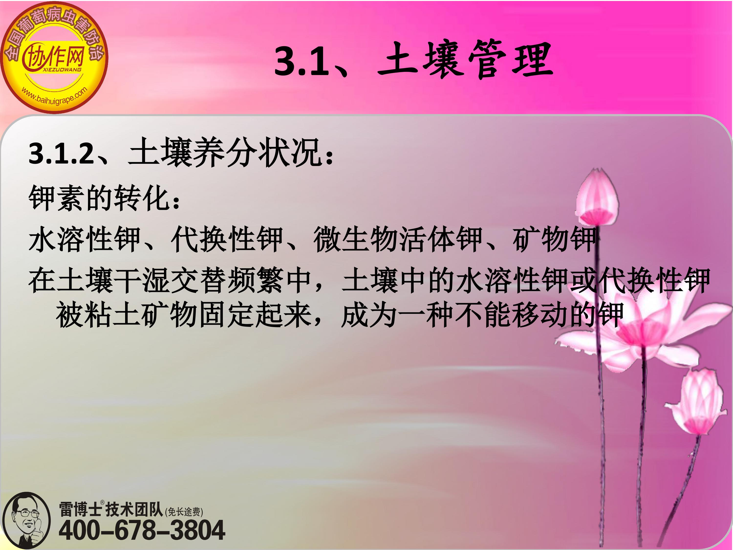 image-0049