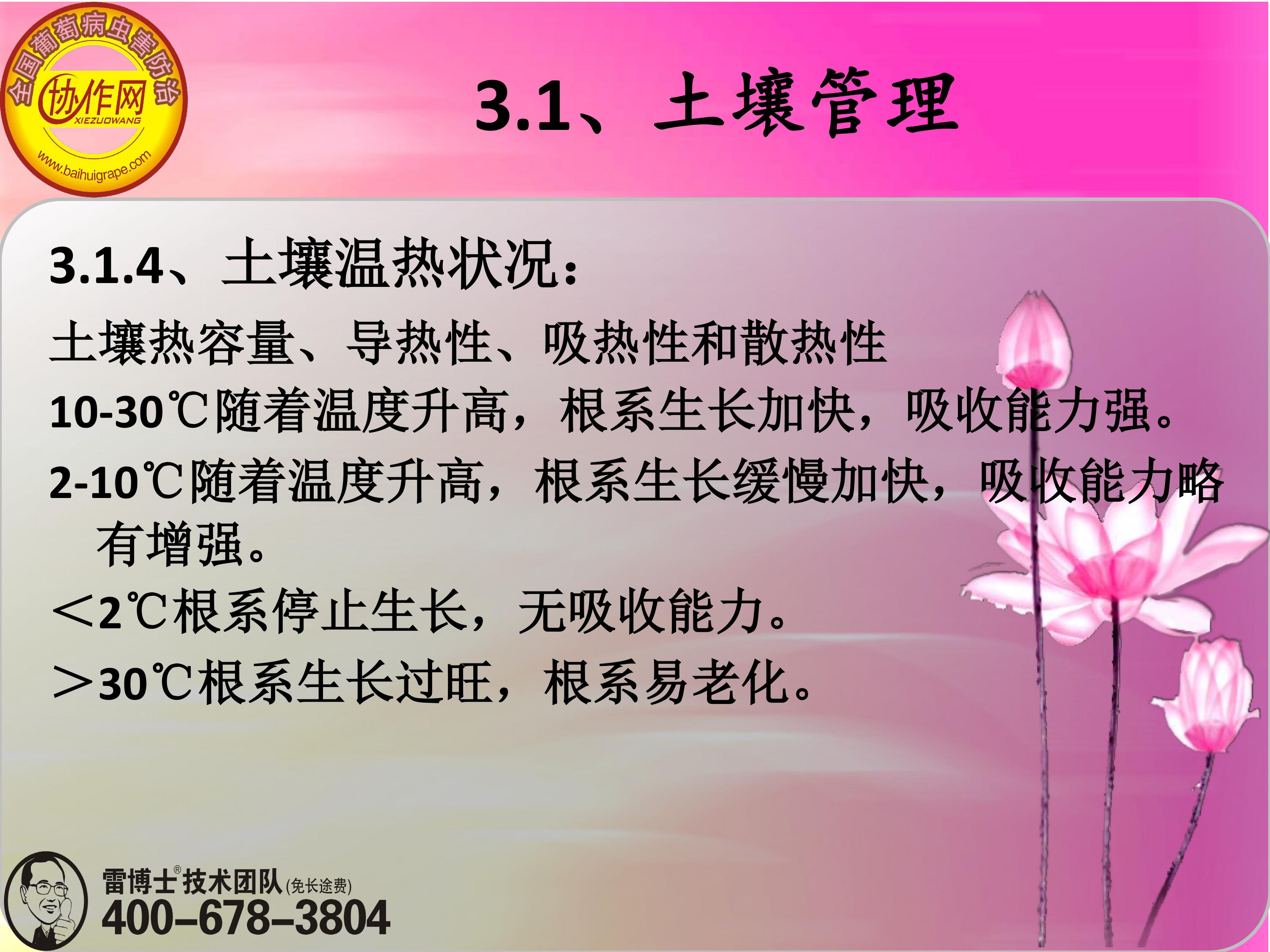 image-0051