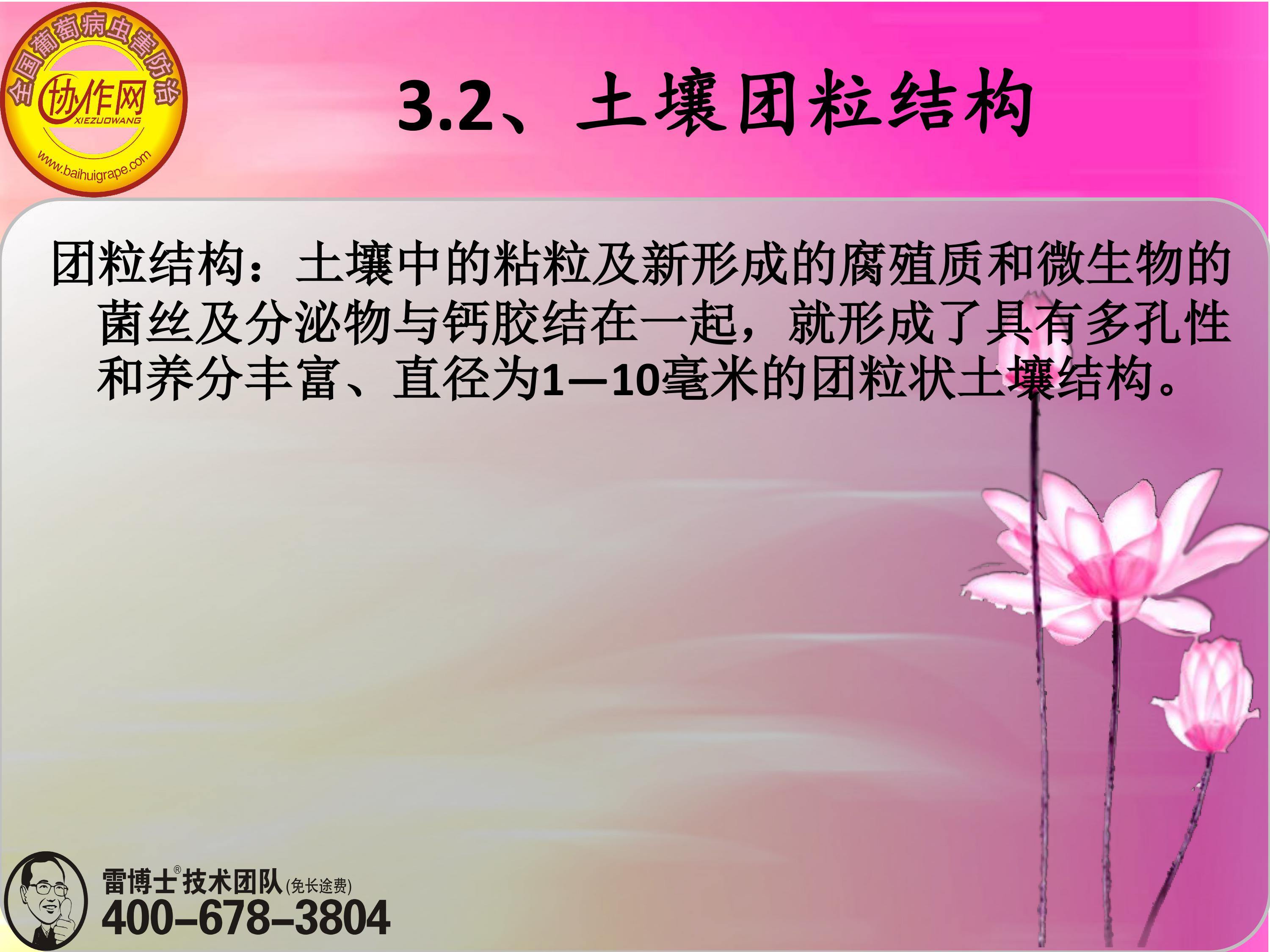 image-0053