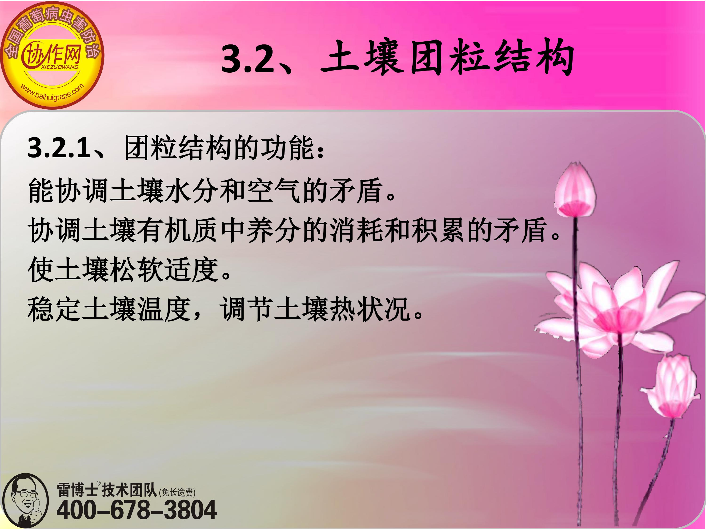 image-0054