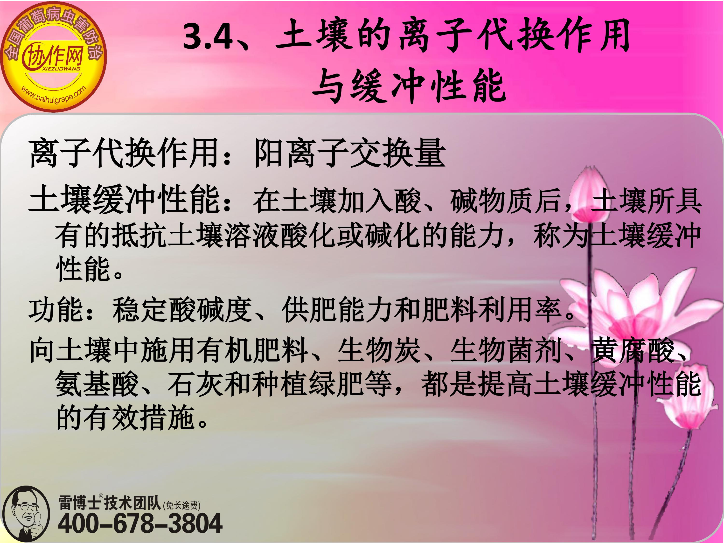 image-0061