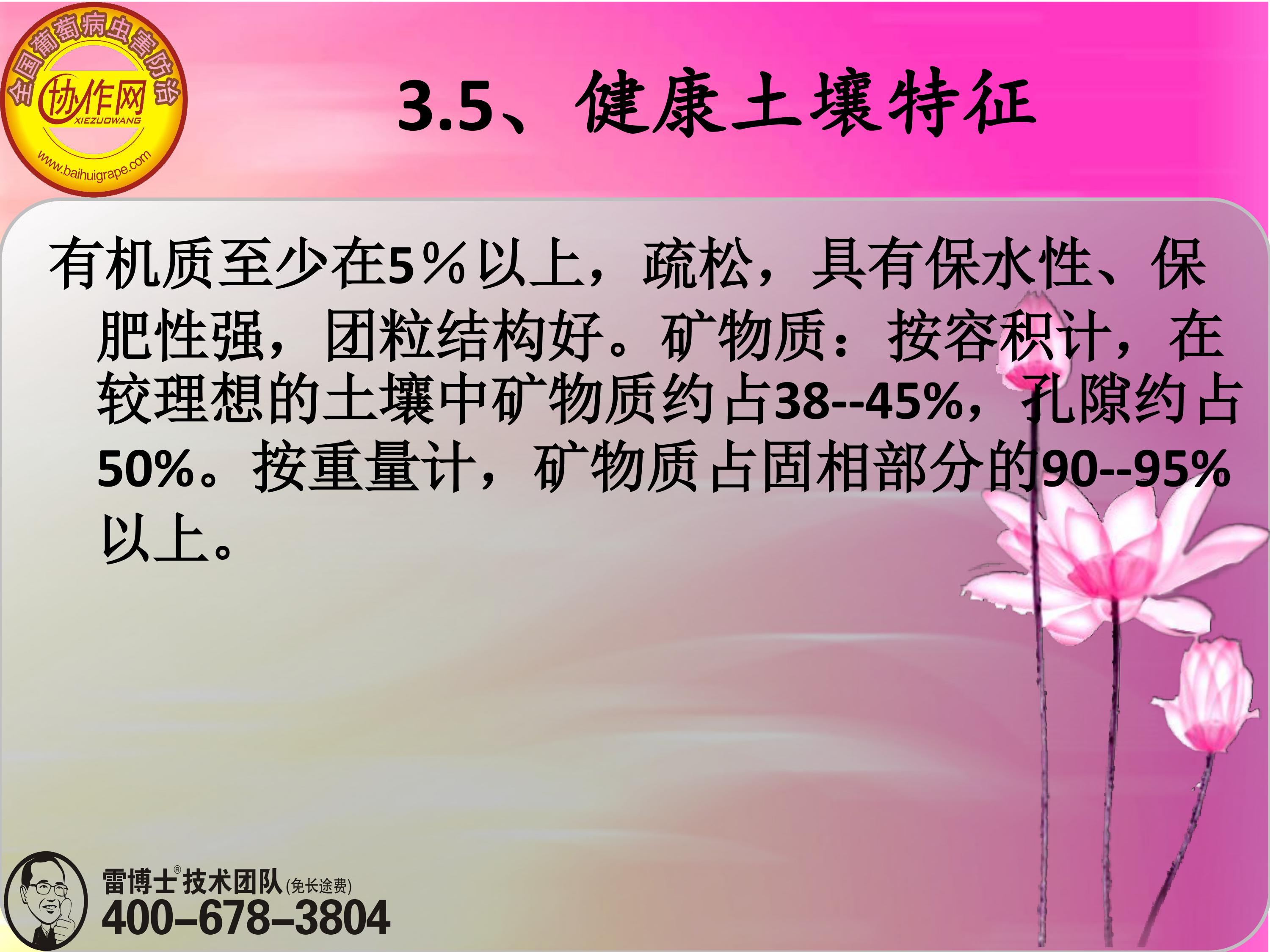 image-0062