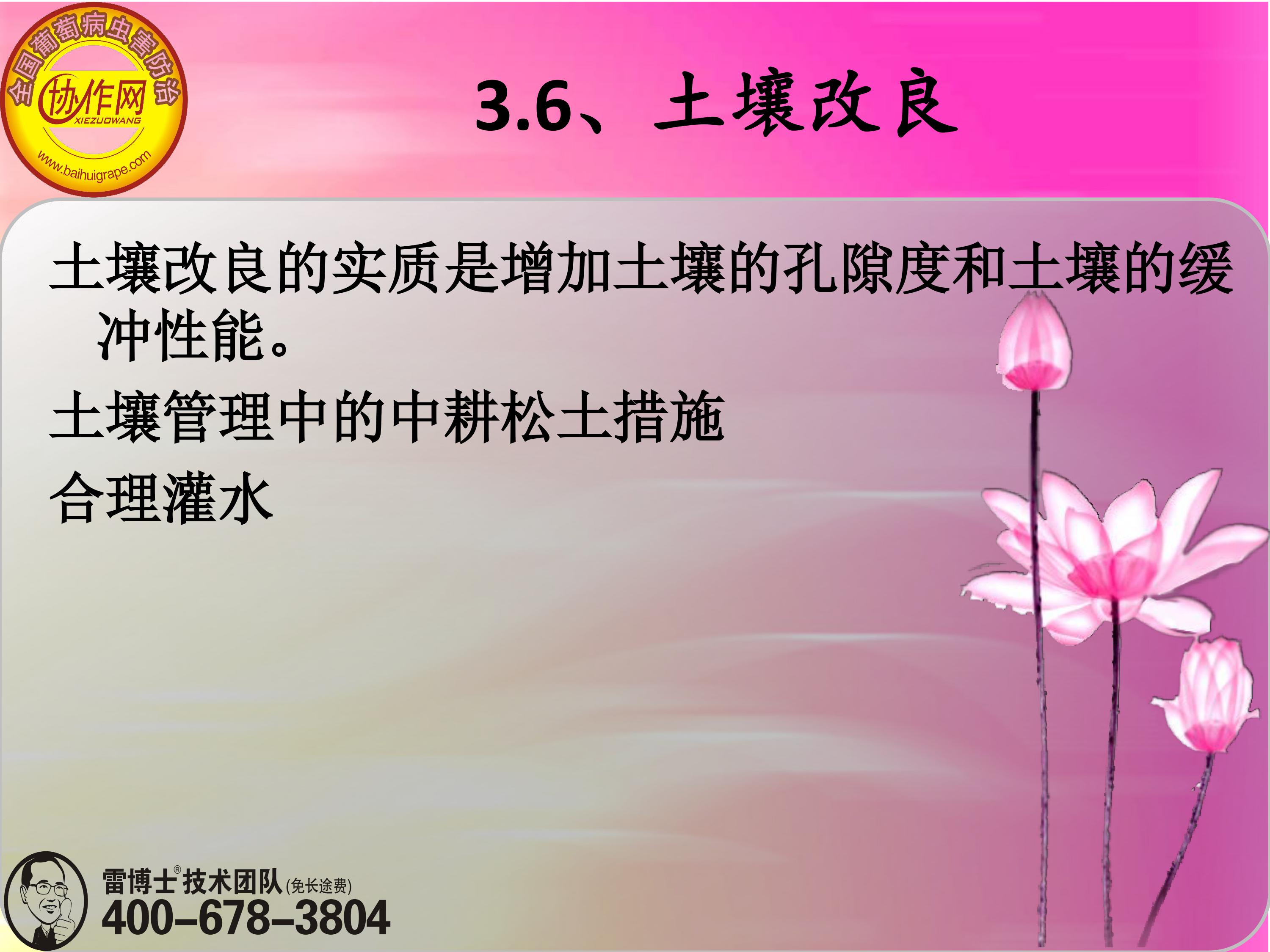 image-0065