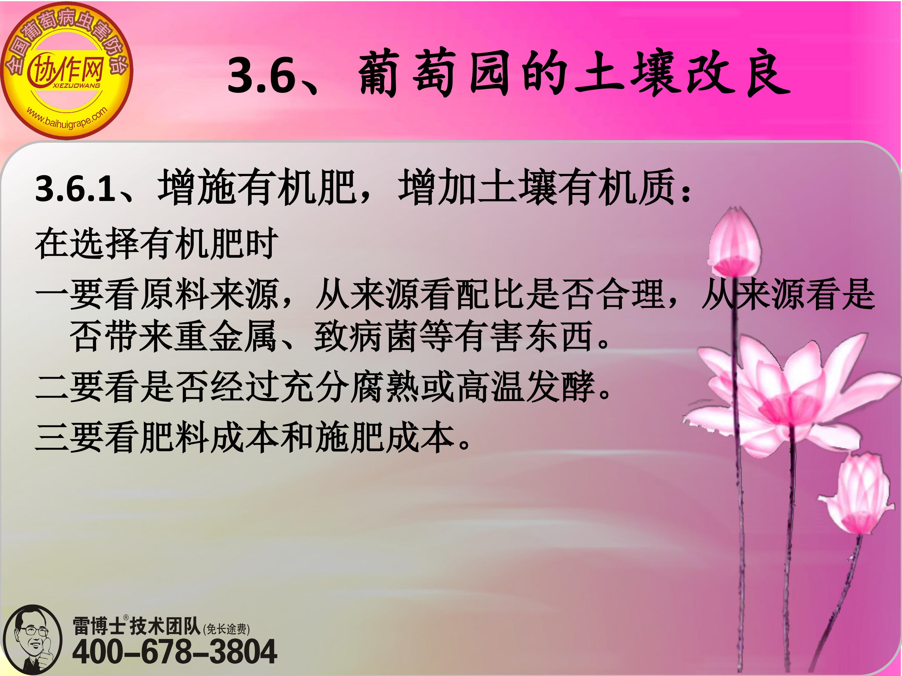 image-0066
