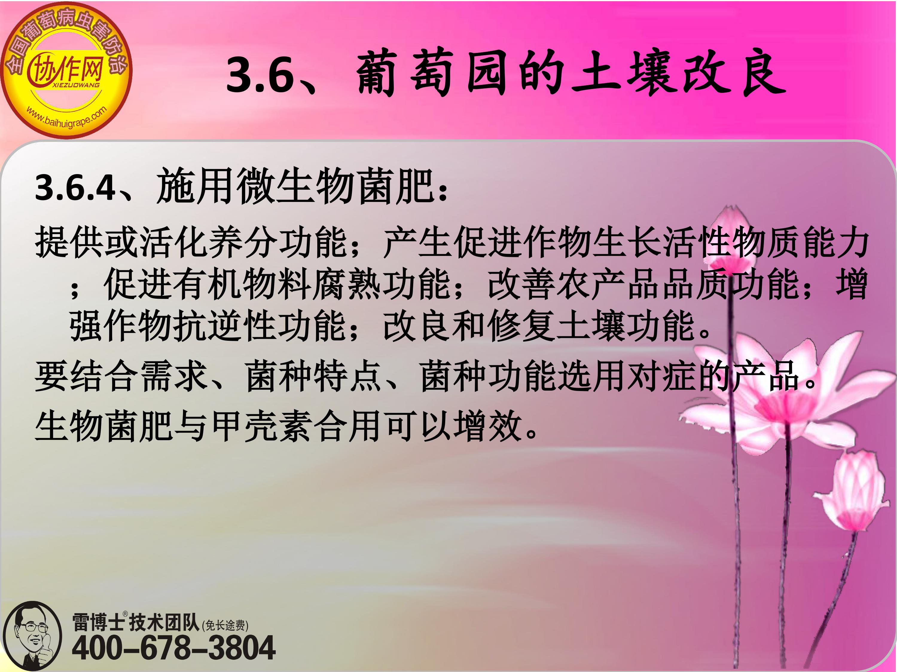 image-0071