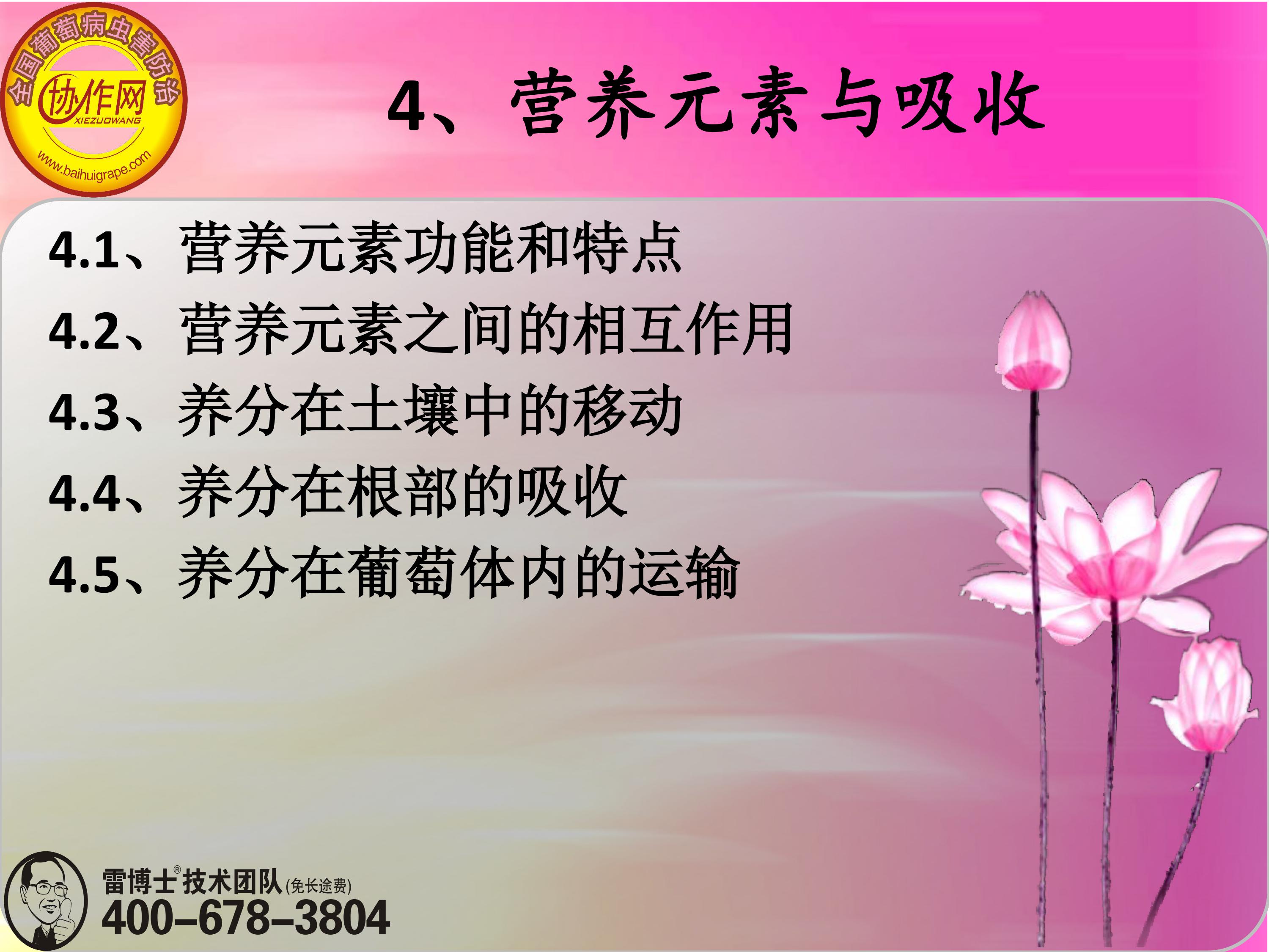 image-0072