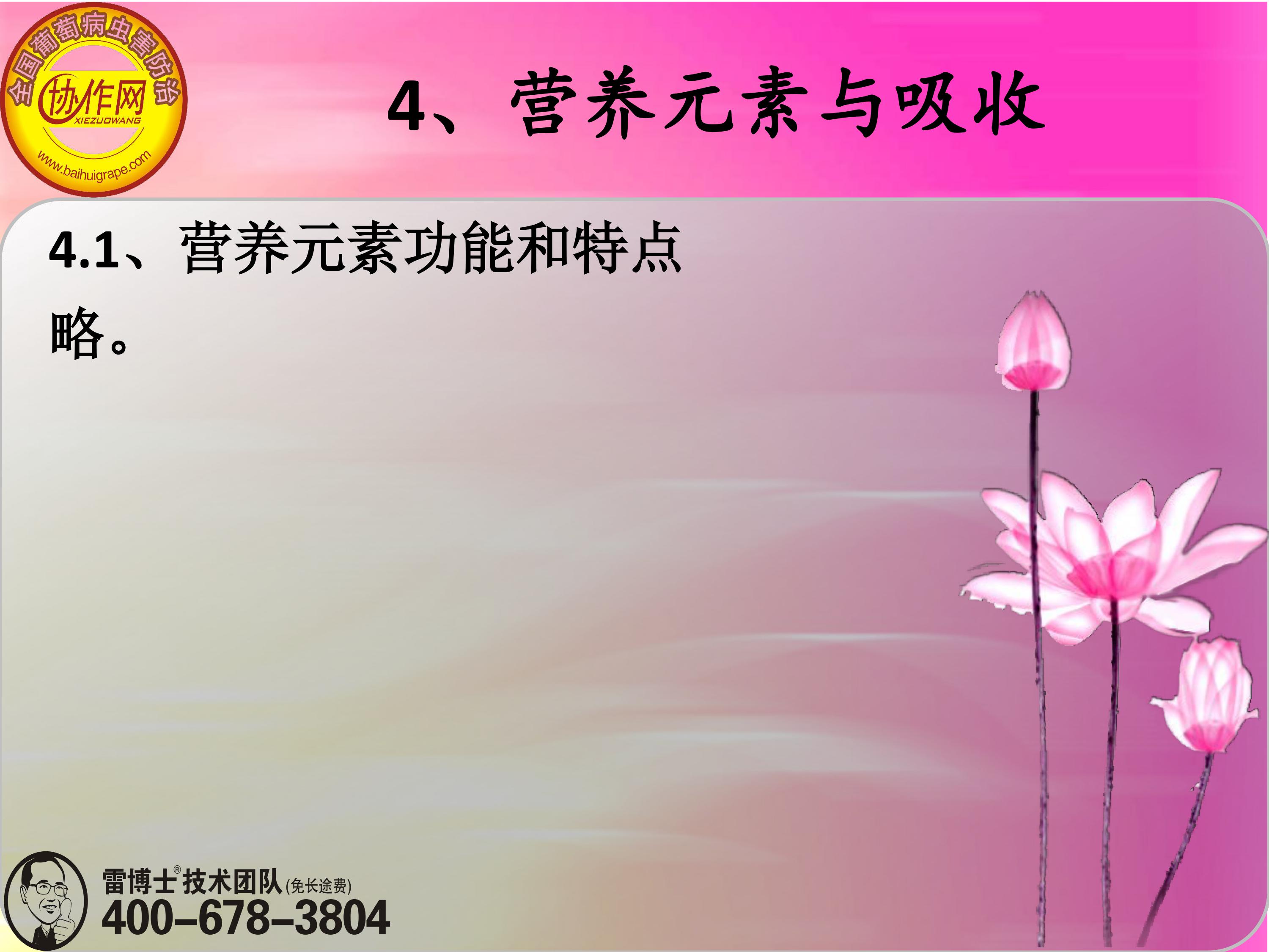 image-0073