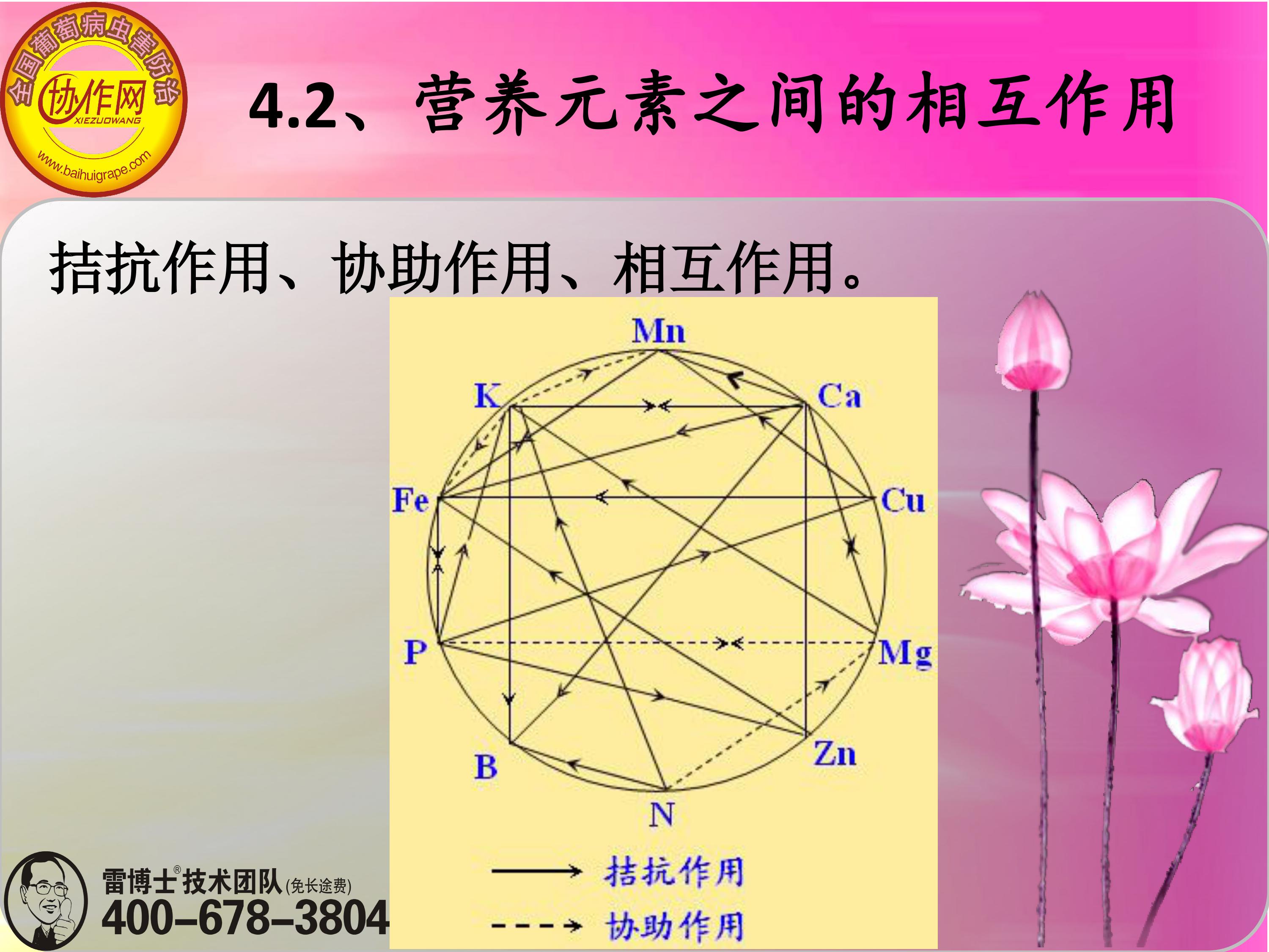 image-0074