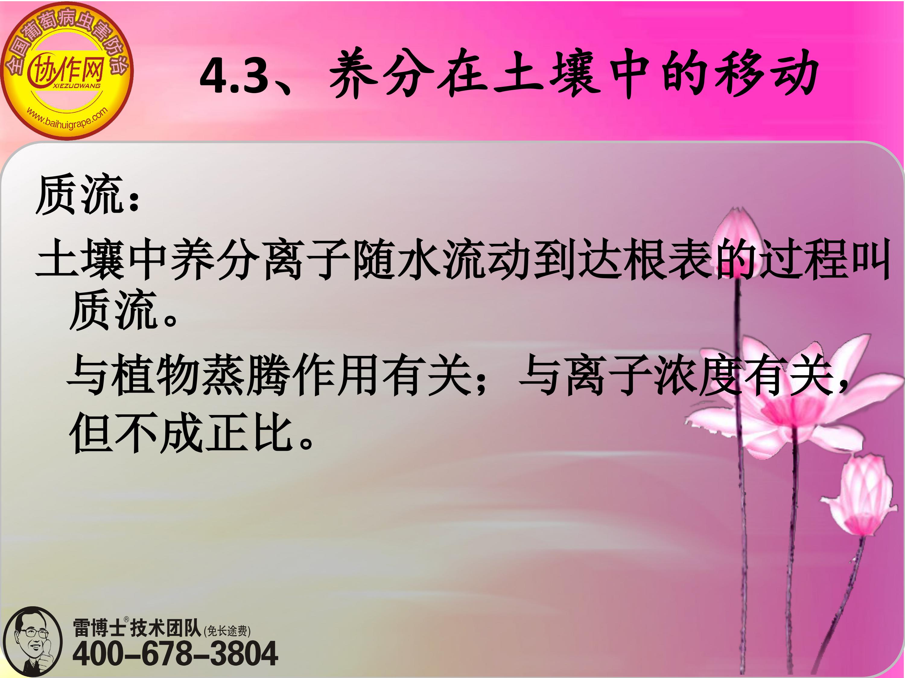image-0091