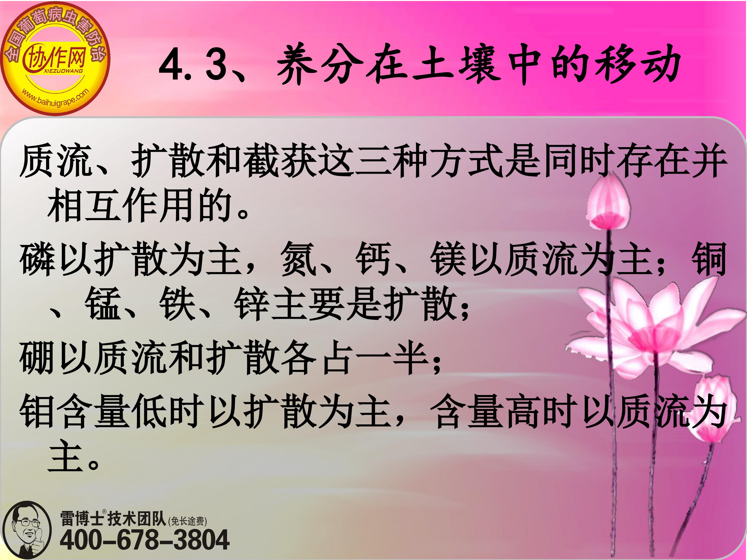 image-0092