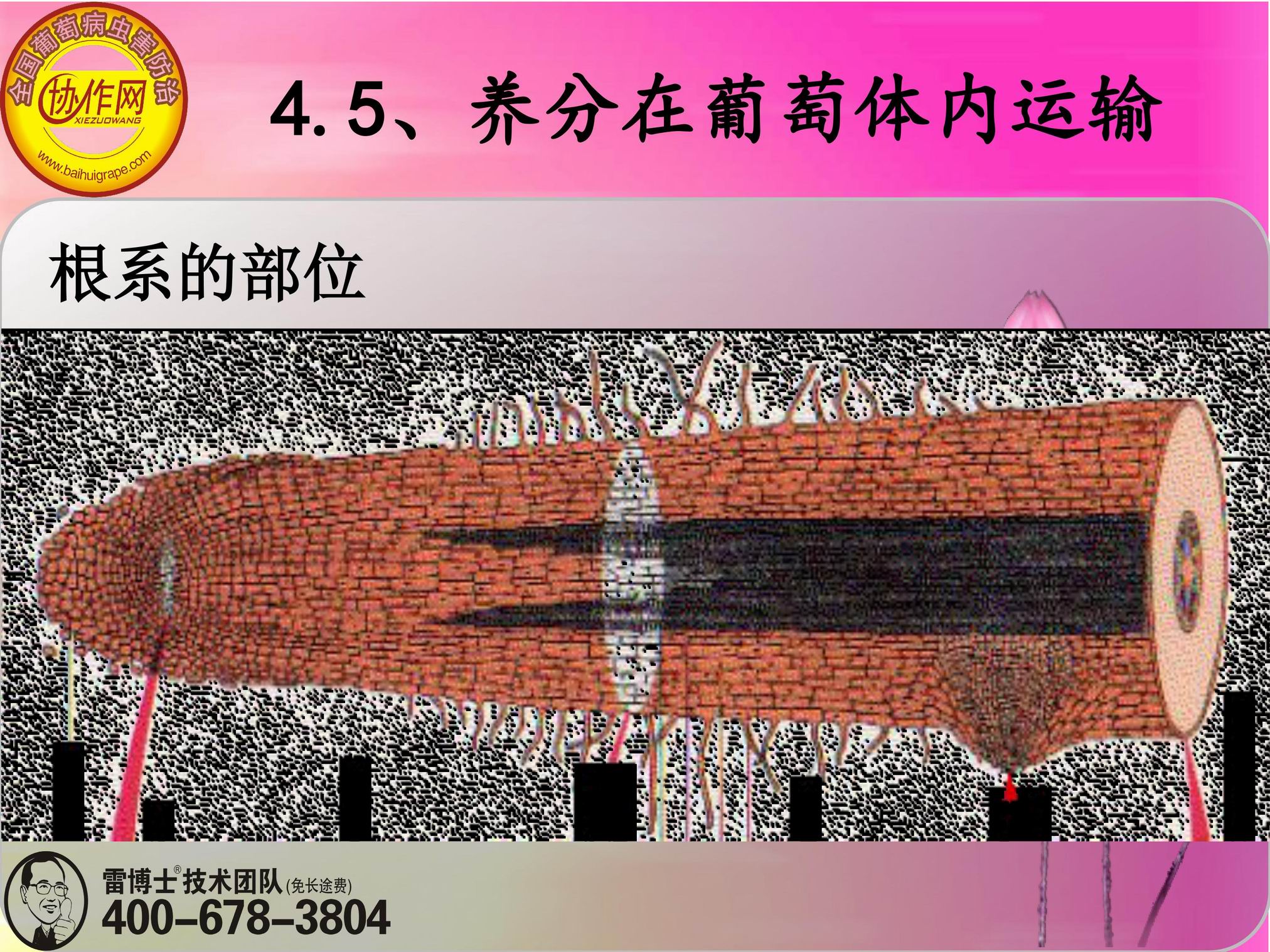 image-0109