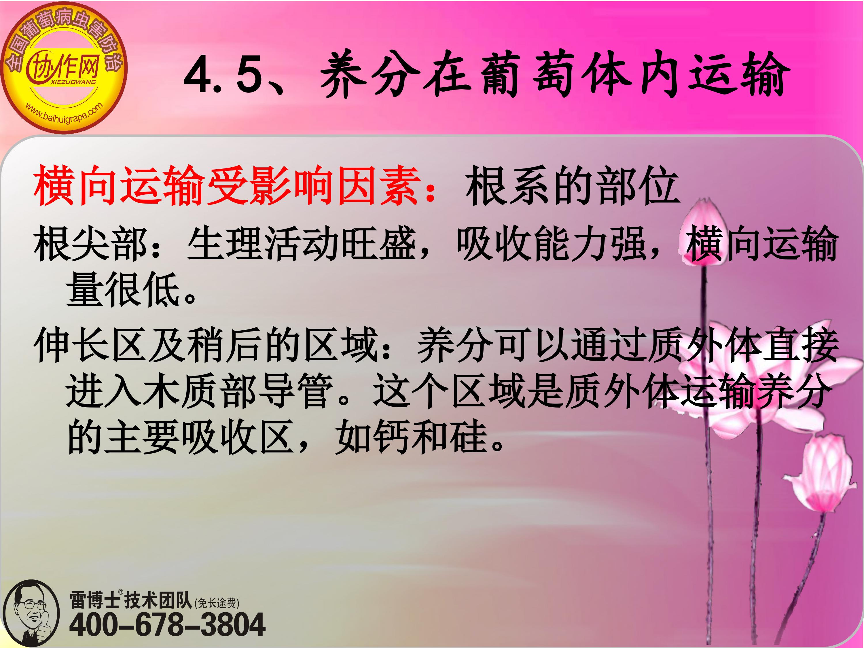 image-0110