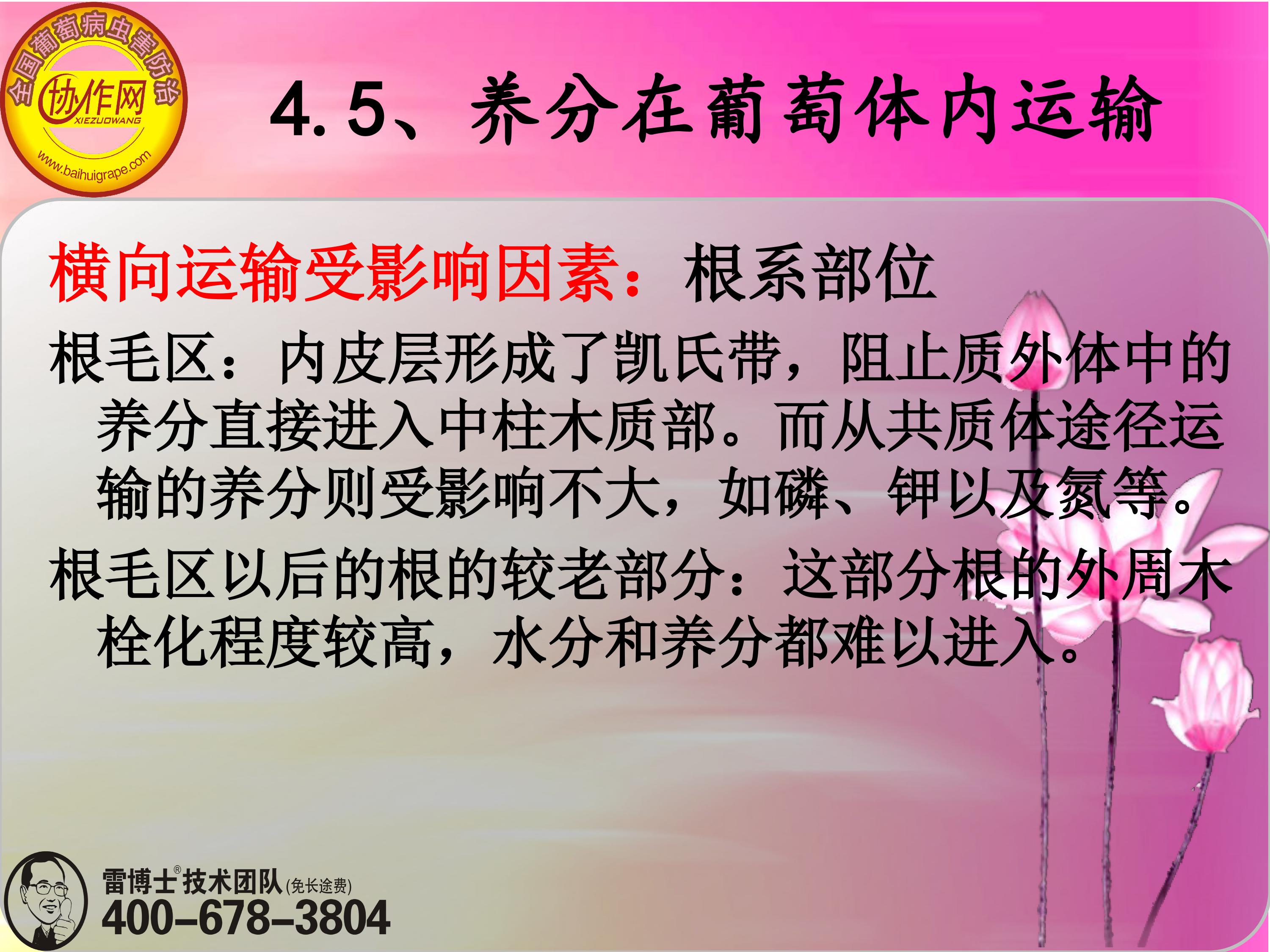 image-0111