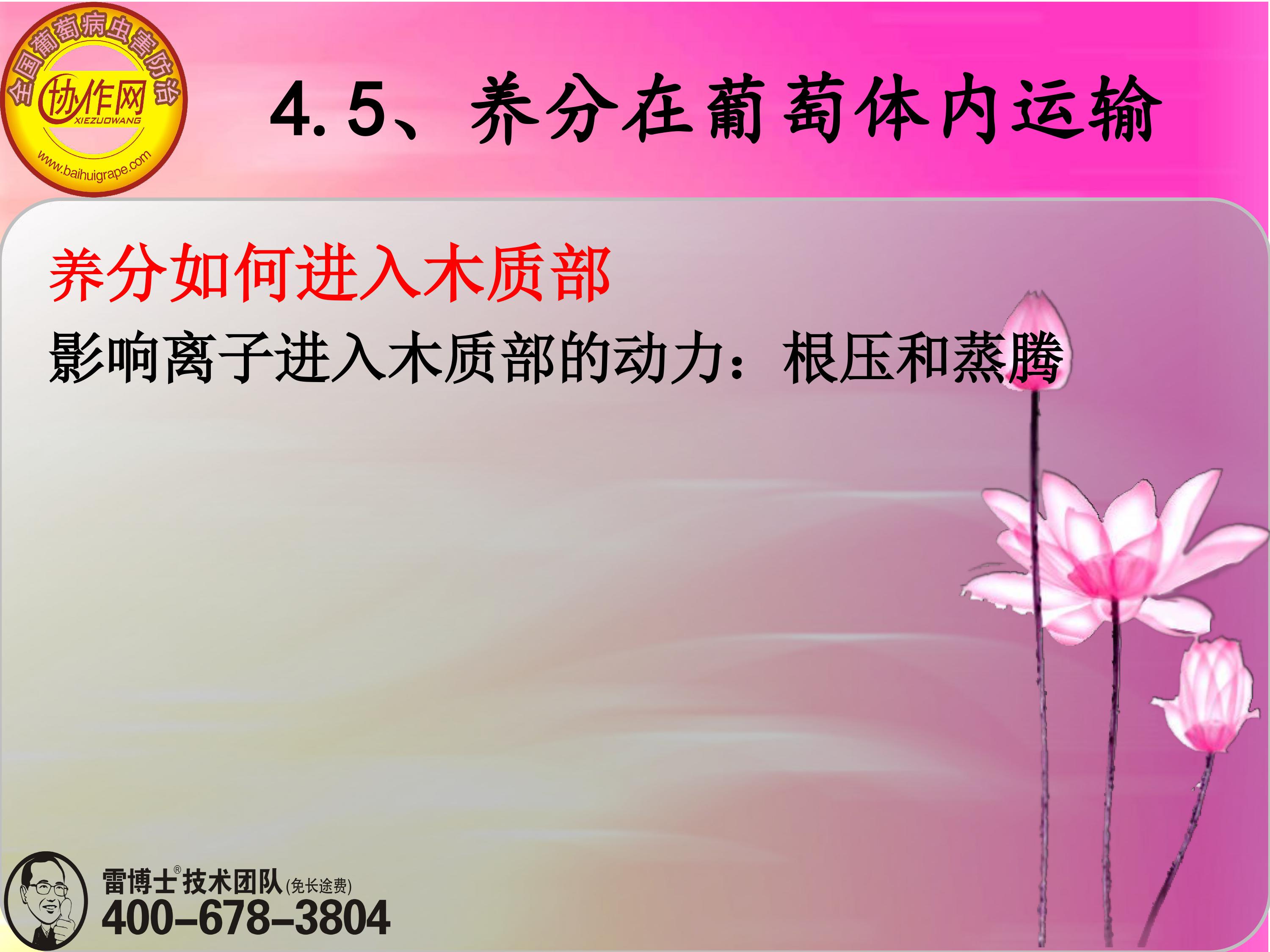 image-0112