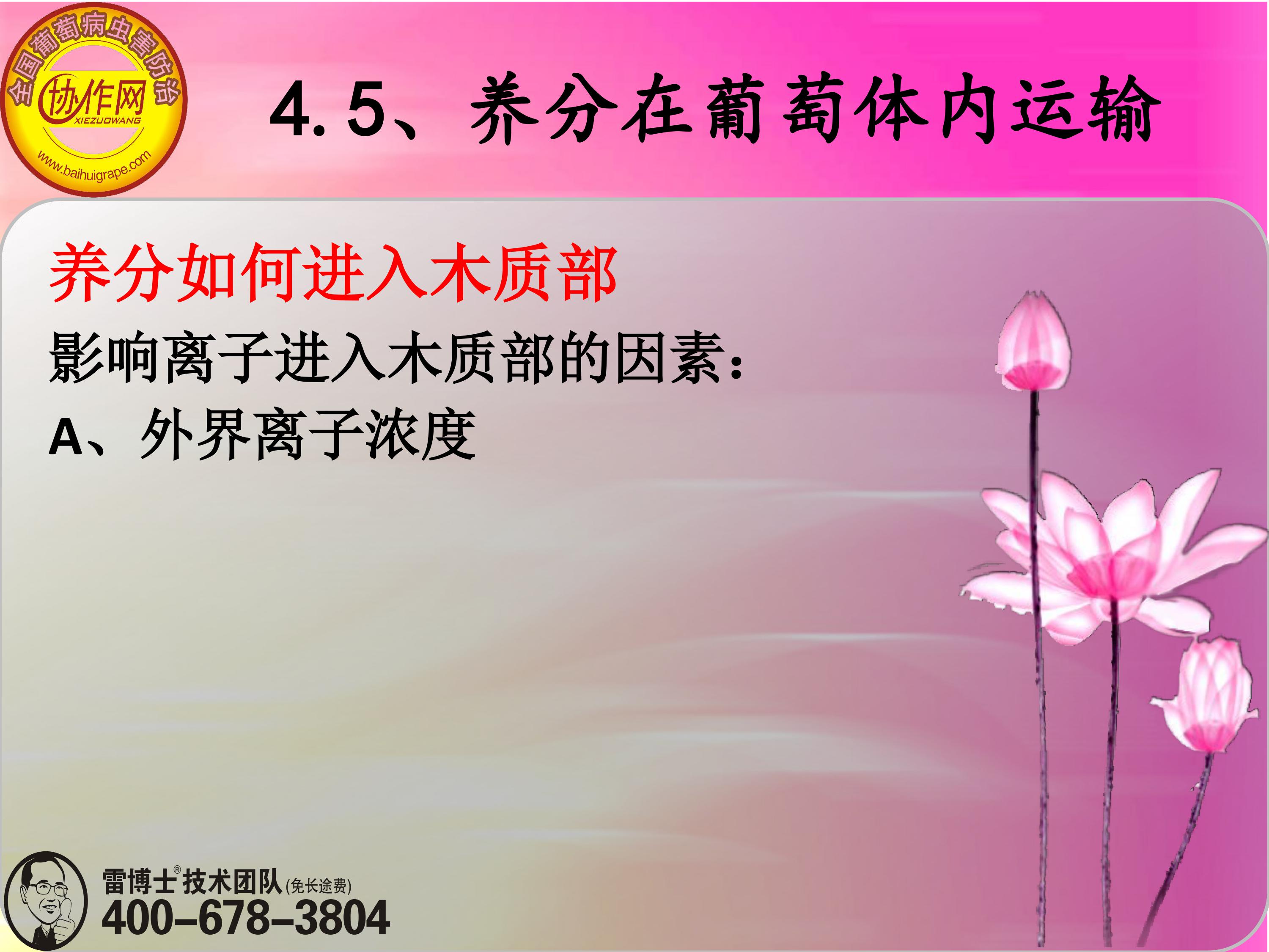 image-0113