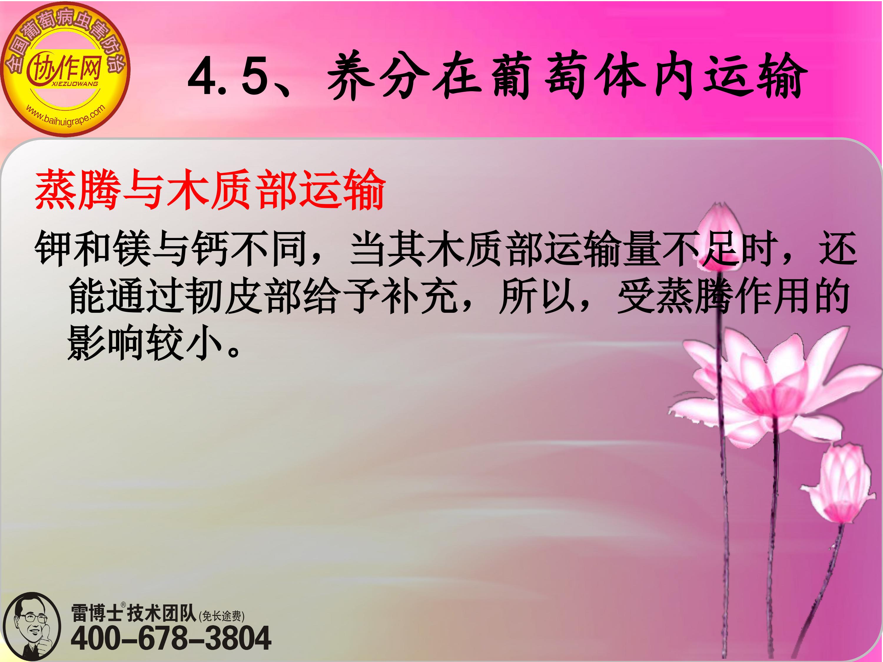 image-0124