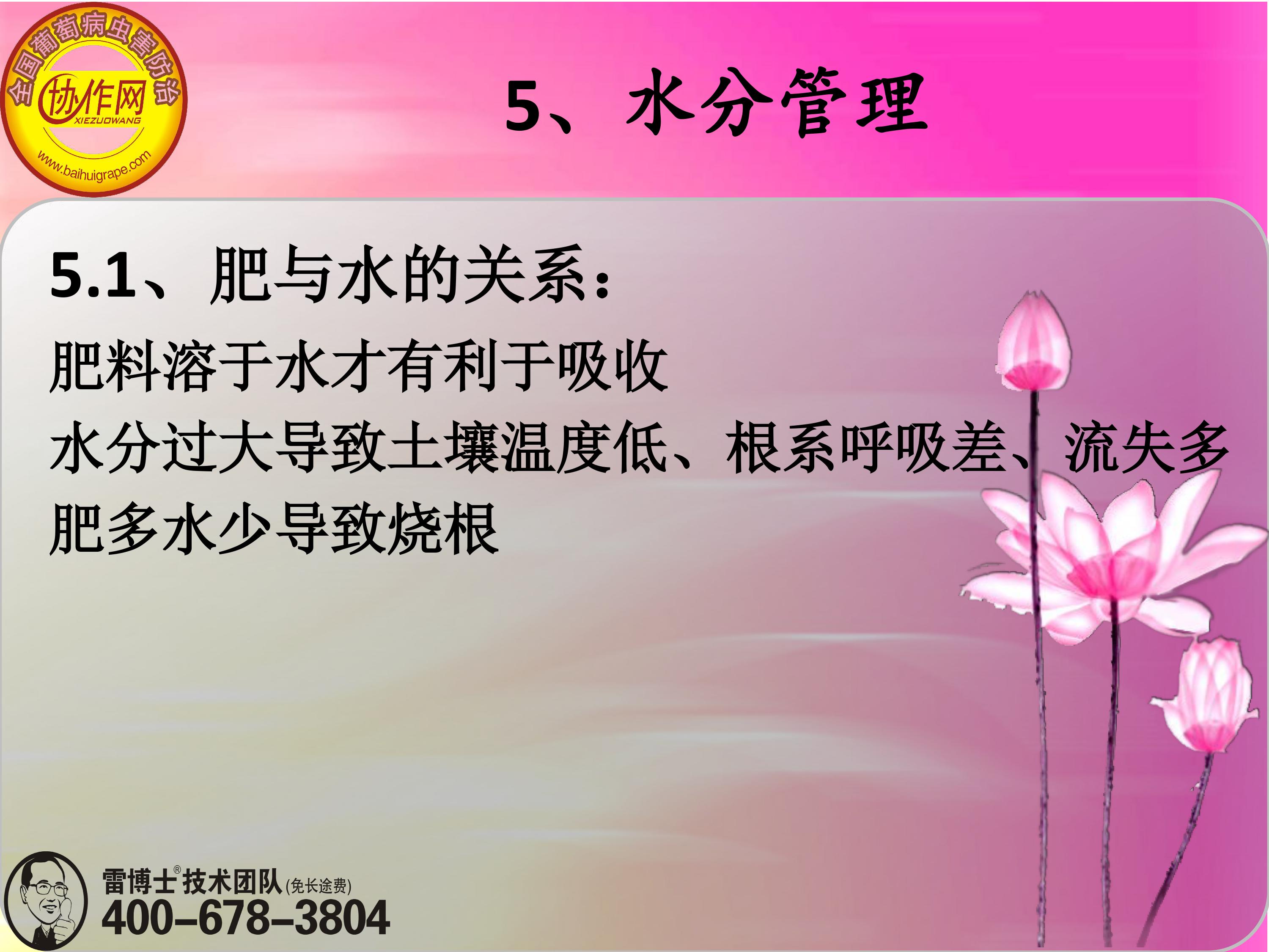 image-0129