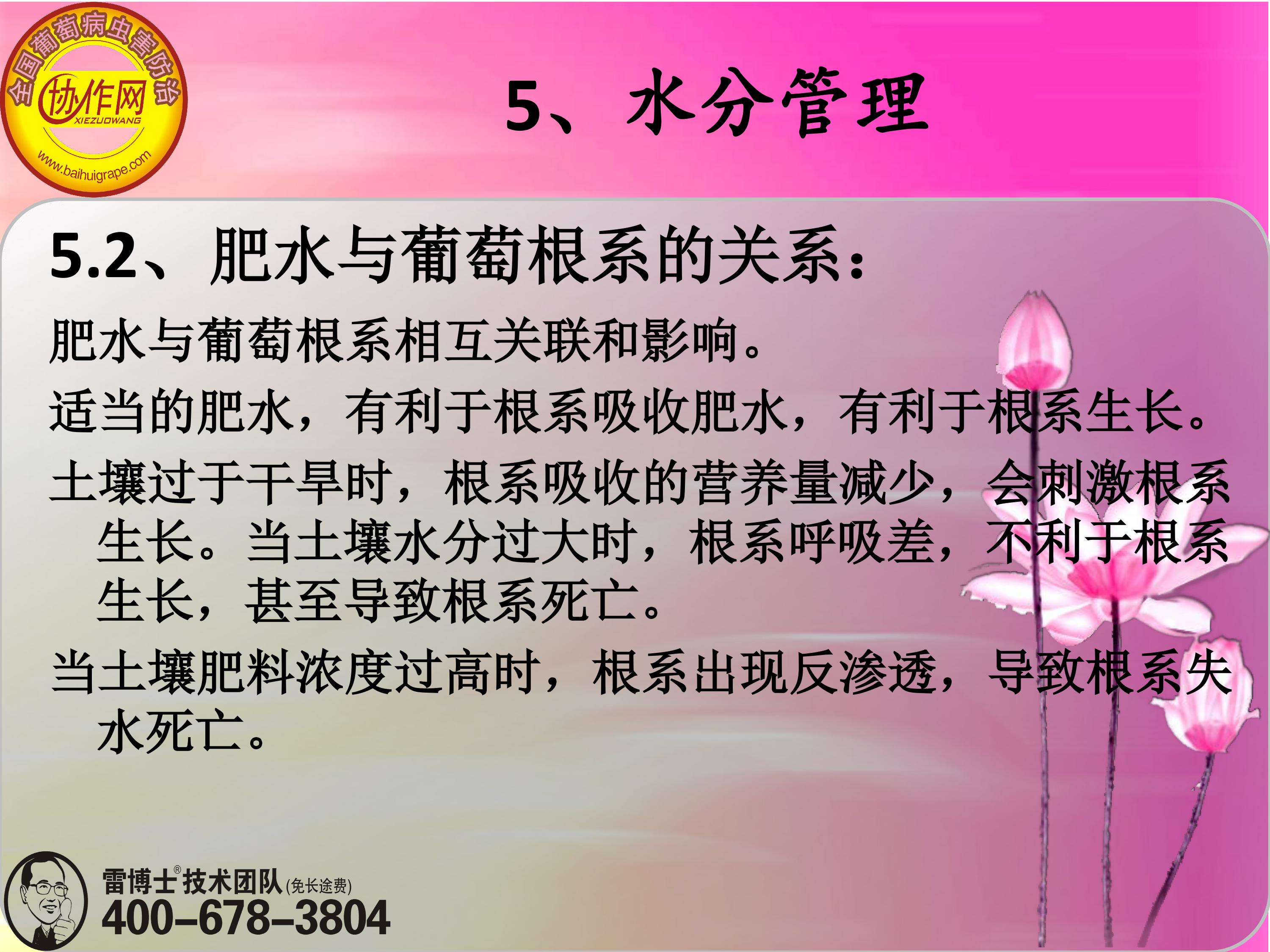 image-0130