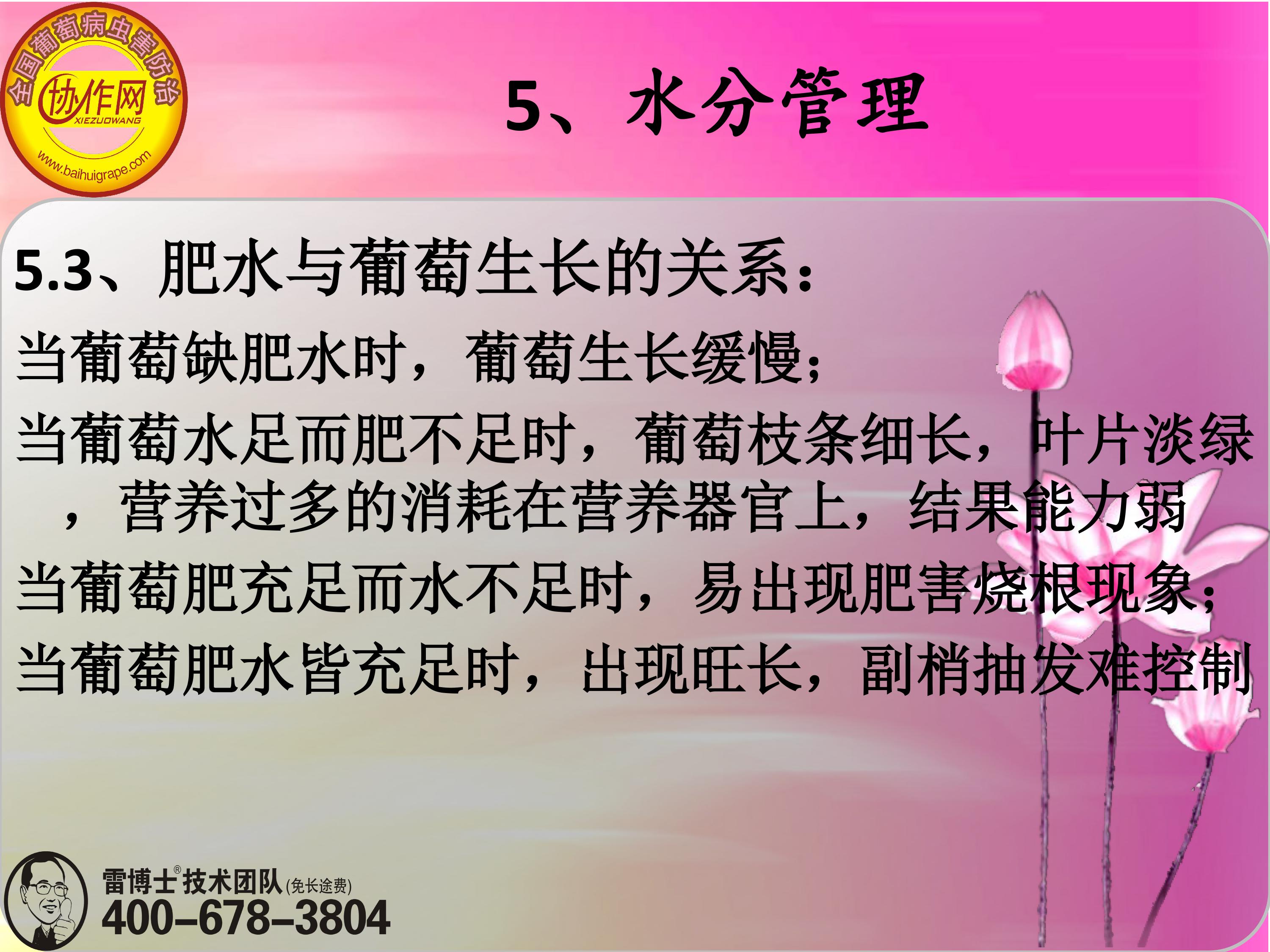 image-0131