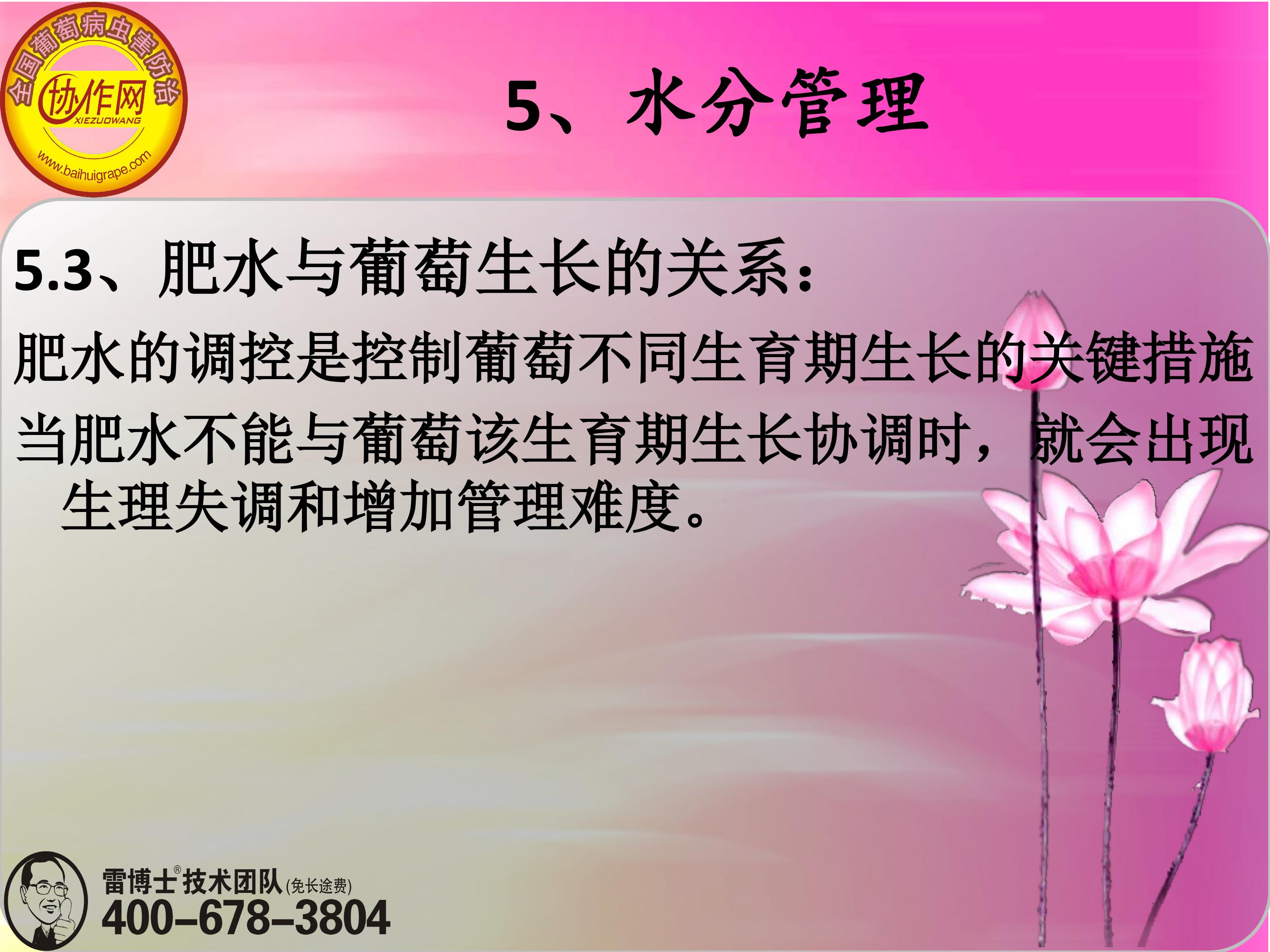 image-0132