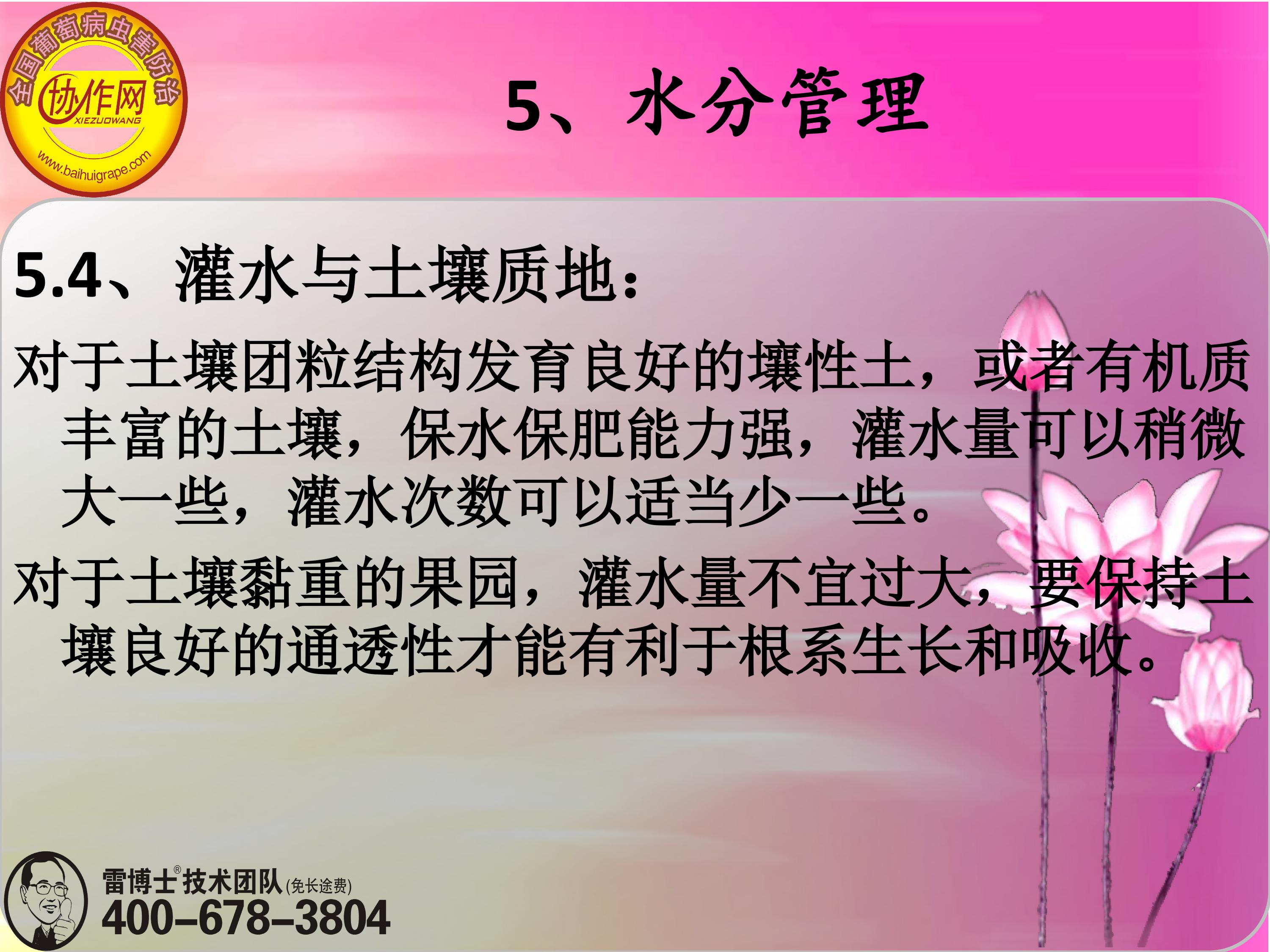 image-0133