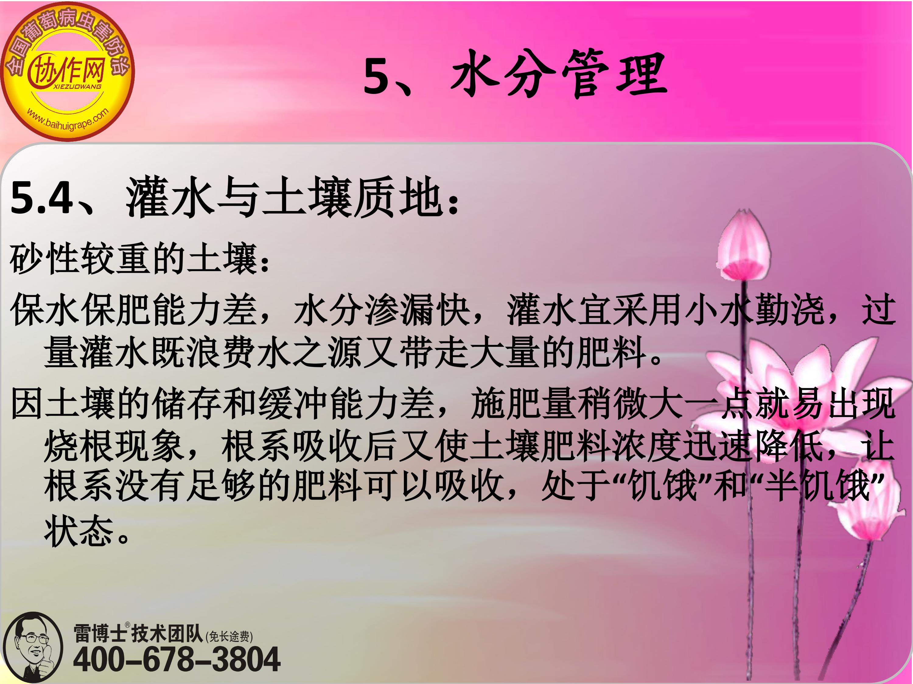 image-0134