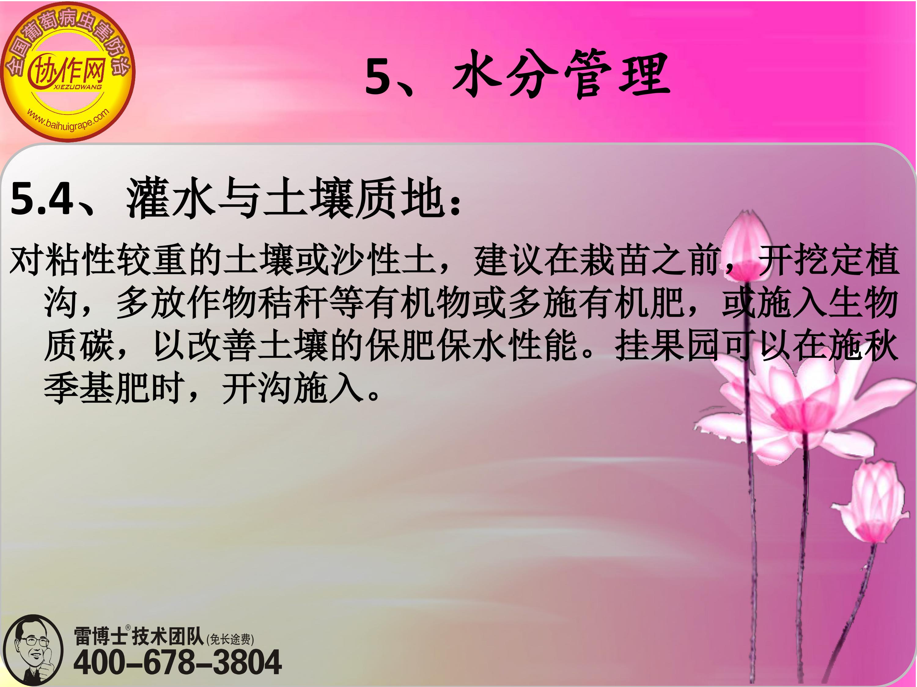 image-0135