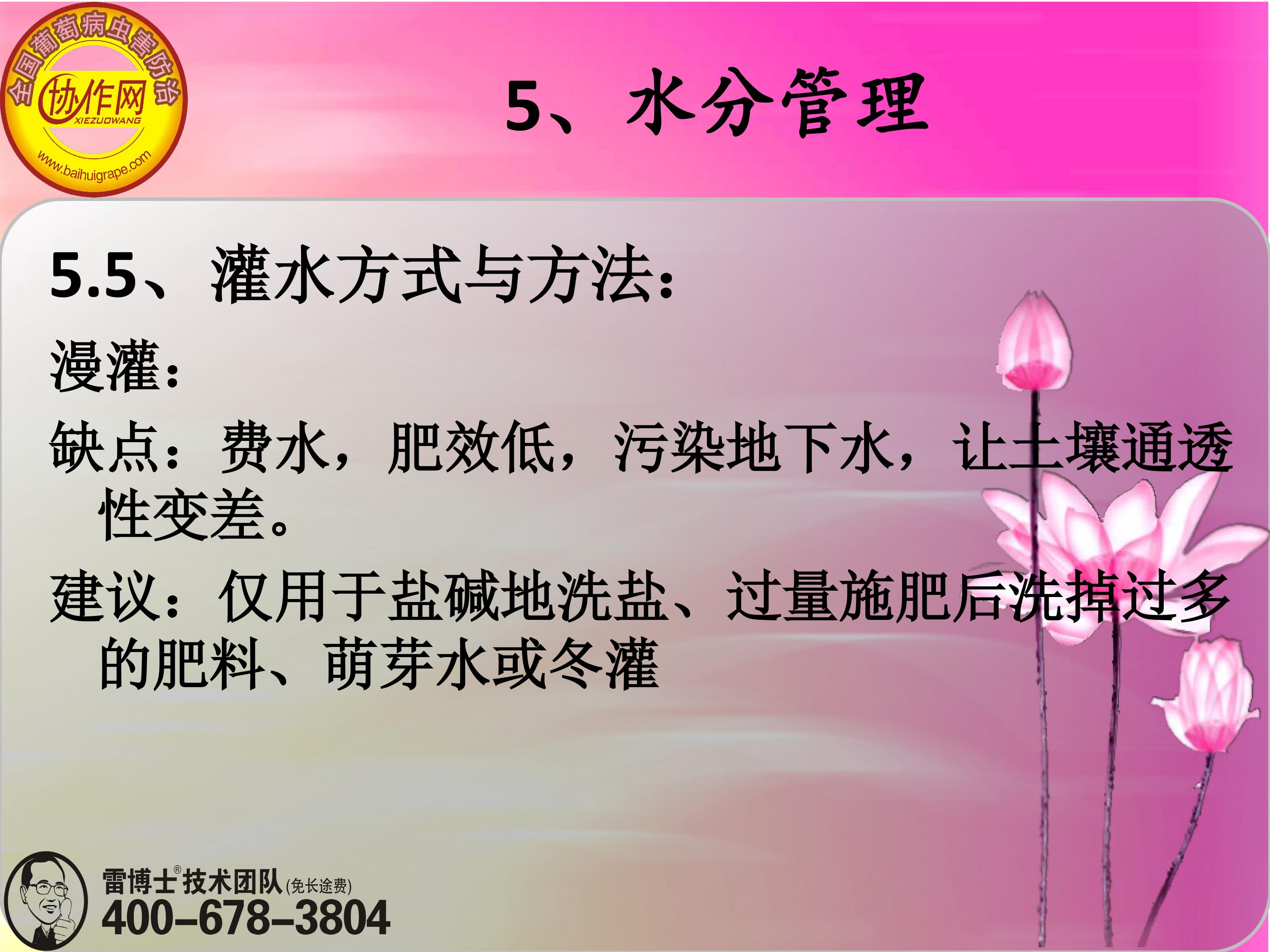 image-0136