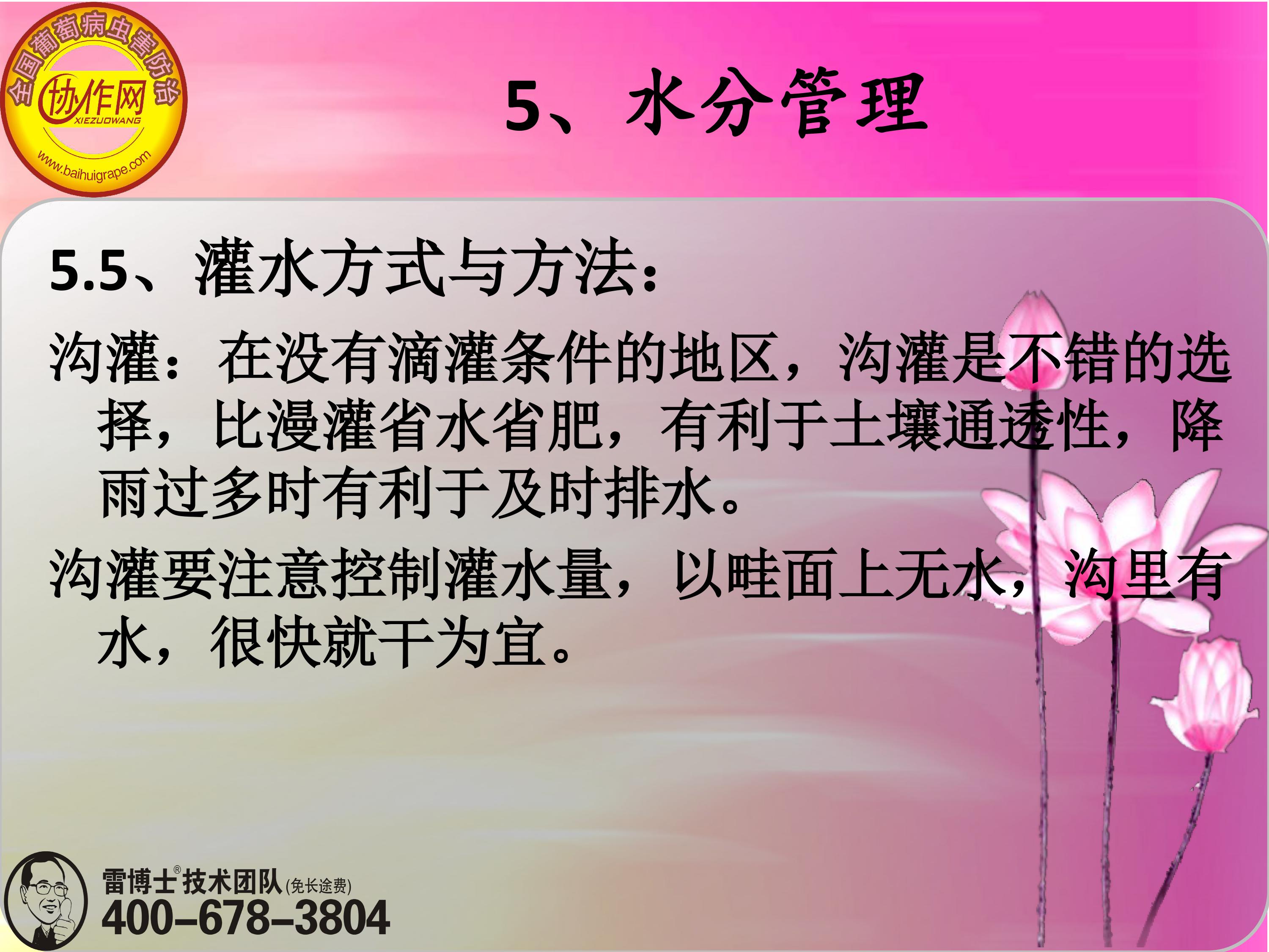 image-0137