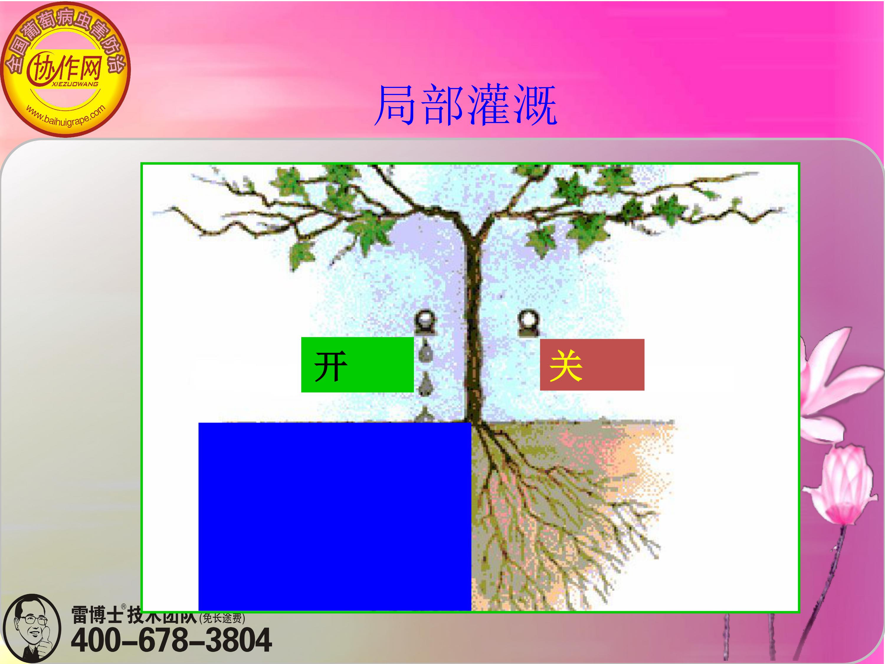 image-0143